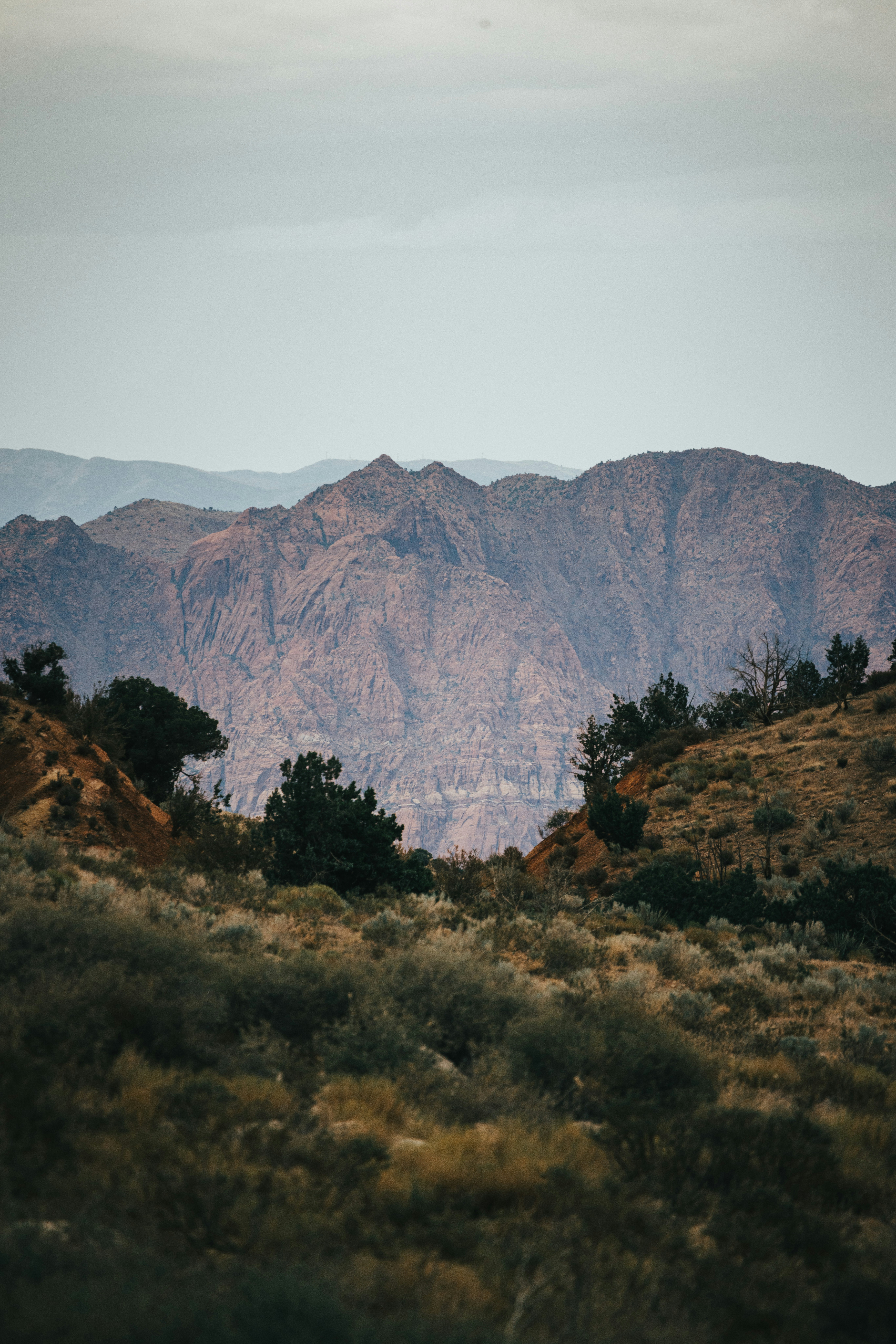 Photo by isaactmitchell