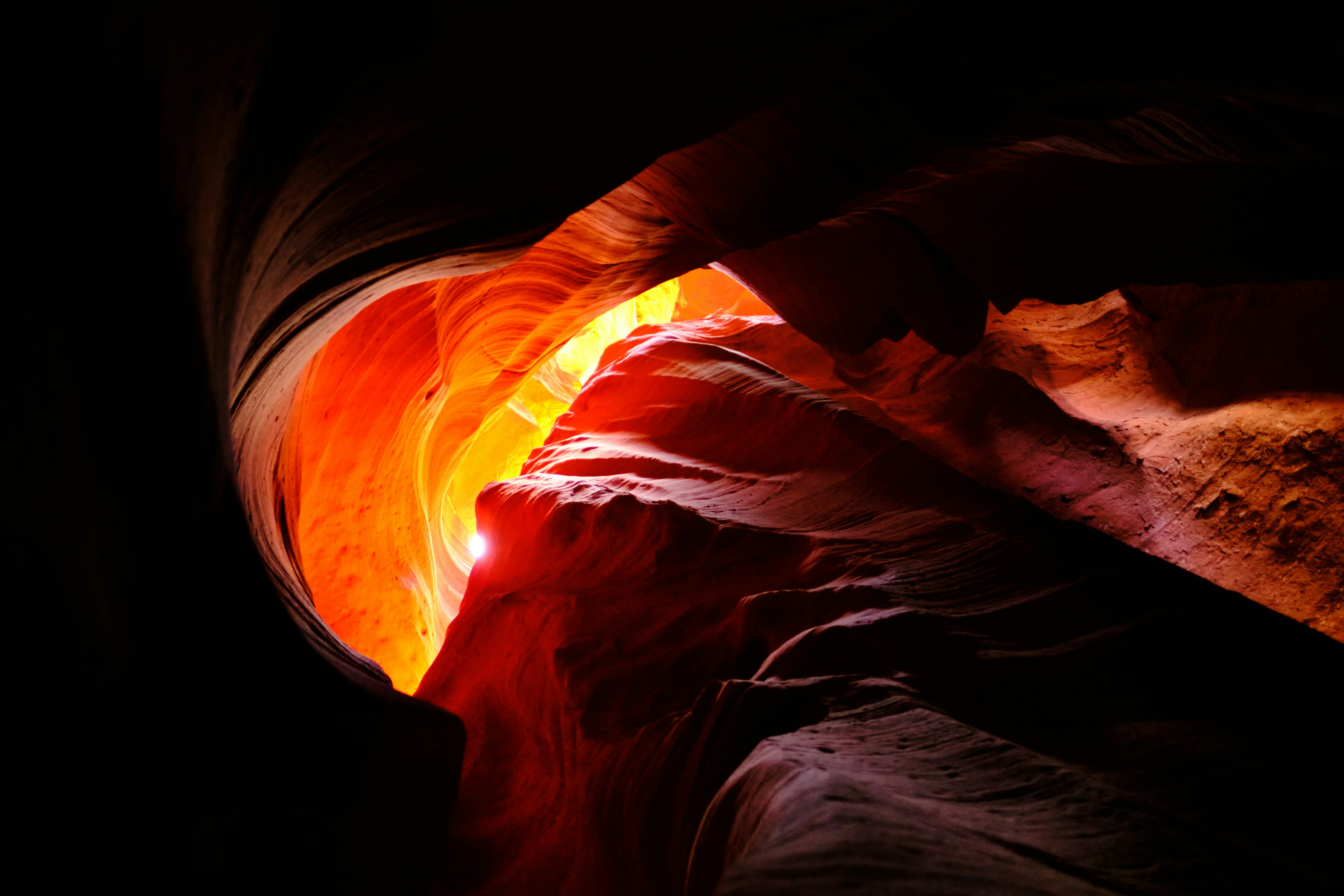 Photo by kaloczidev_