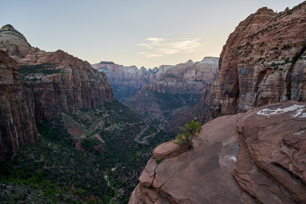 a canyon with a few trees with Zion National Park in the background