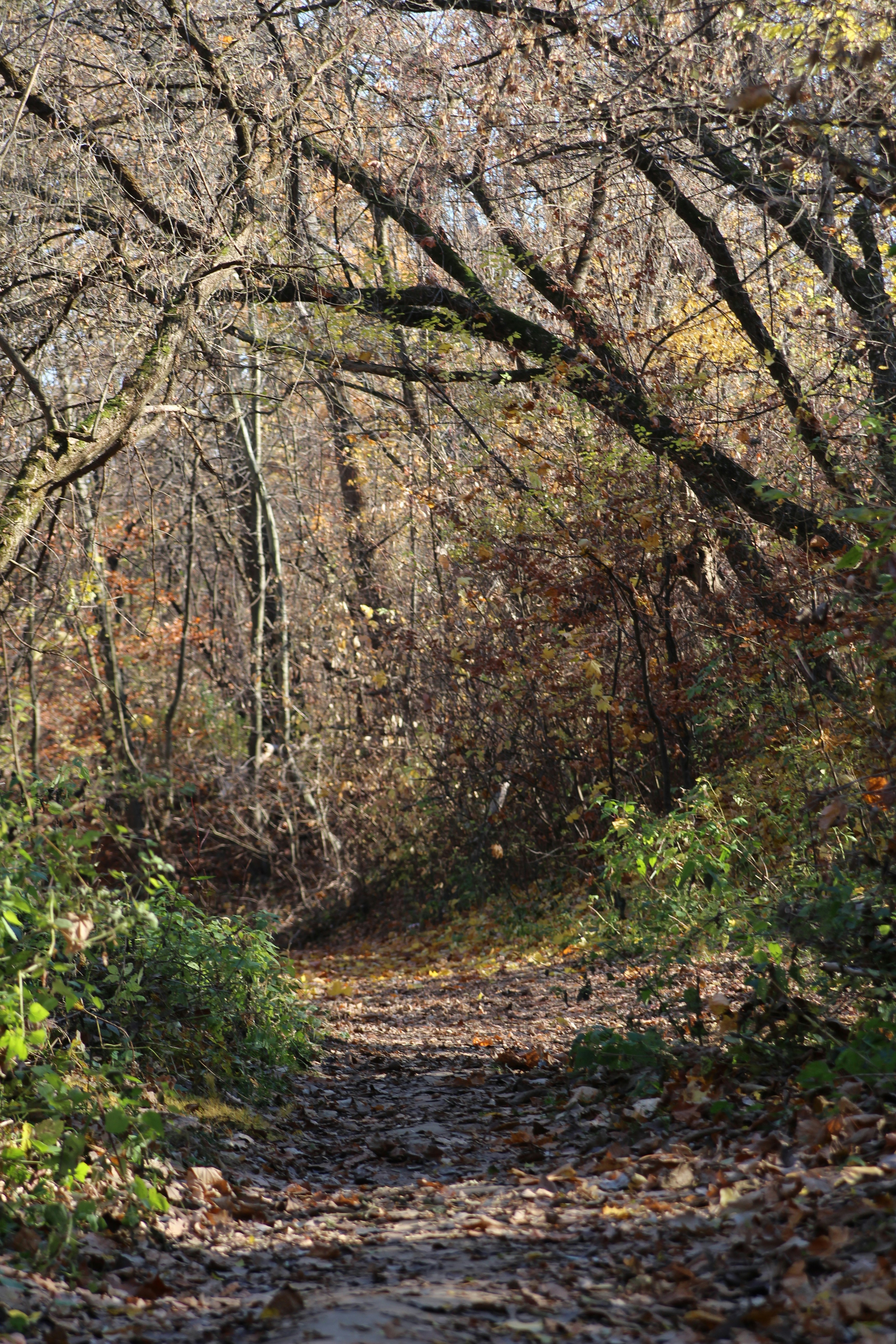 Photo by khrystyna_vatsyk