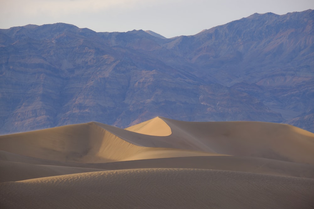 a desert landscape with sand dunes with Great Sand Dunes National Park and Preserve in the background