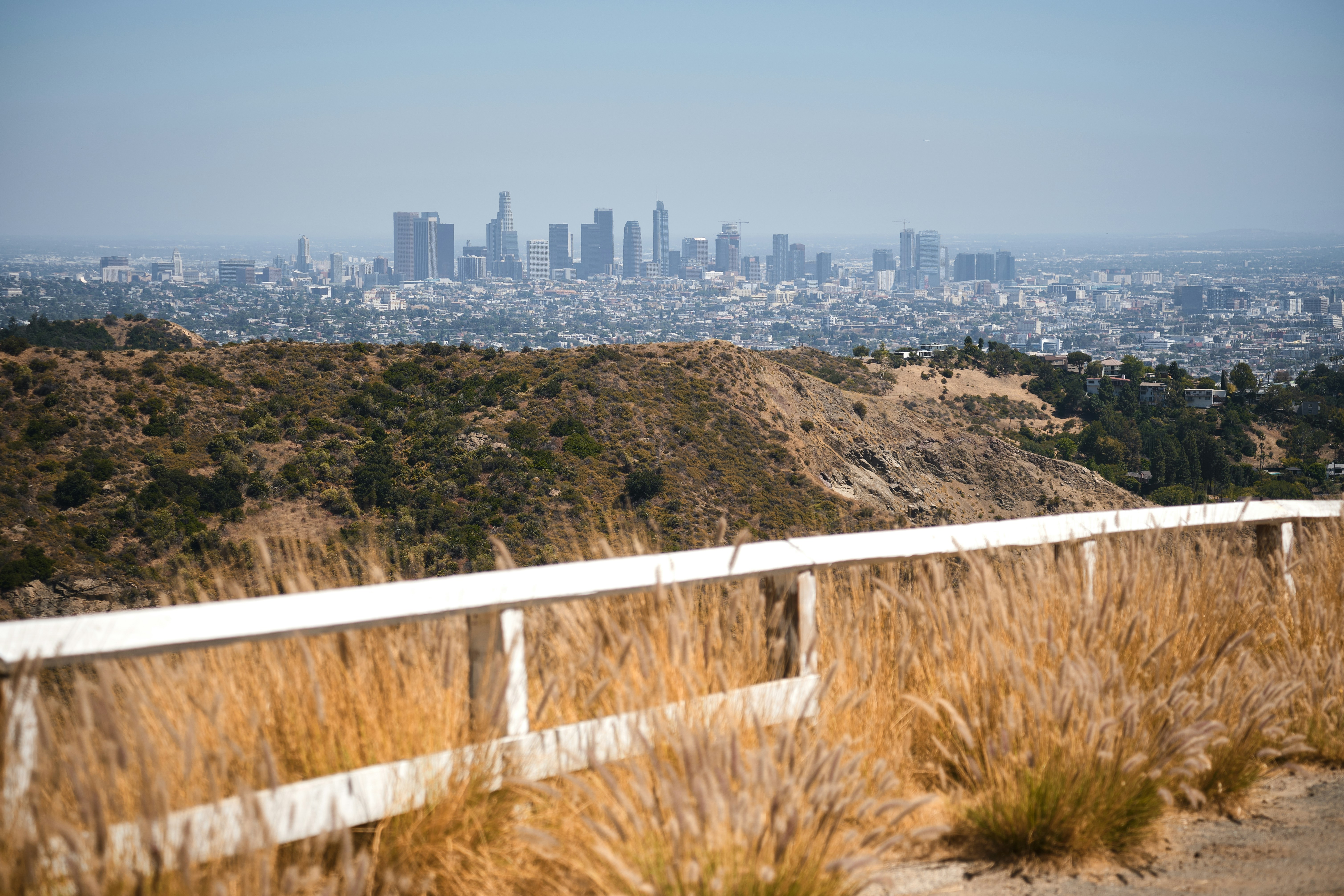a fence in front of a city