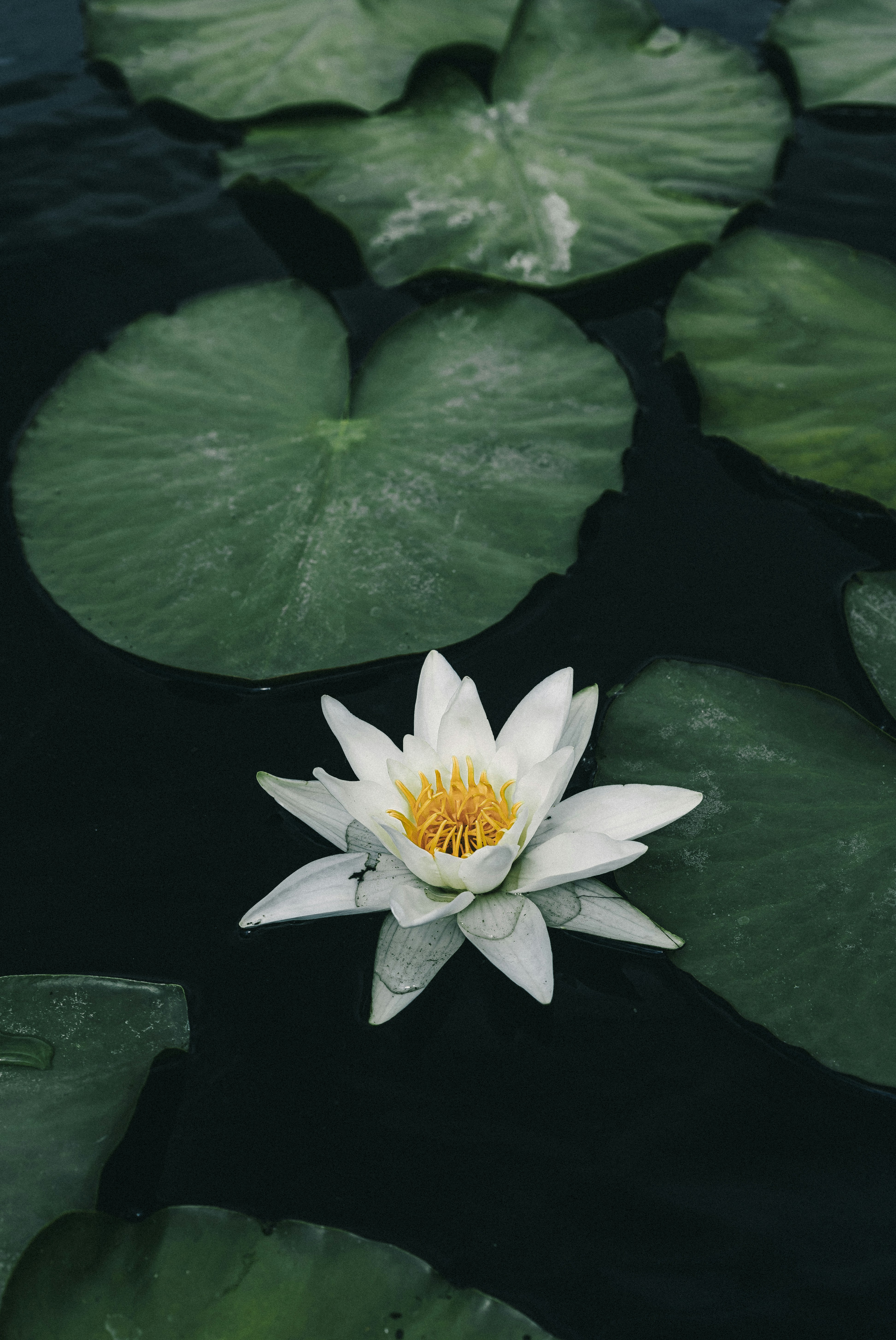 Photo by maksym_tymchyk