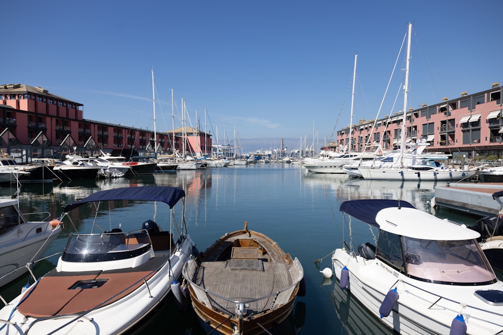 a group of boats in a harbor