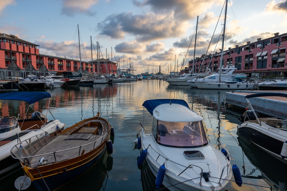 boats docked in a harbor