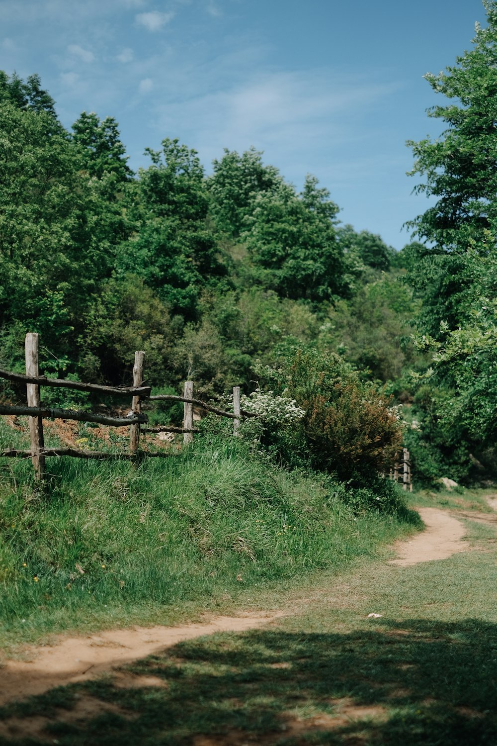 a fence in a wooded area