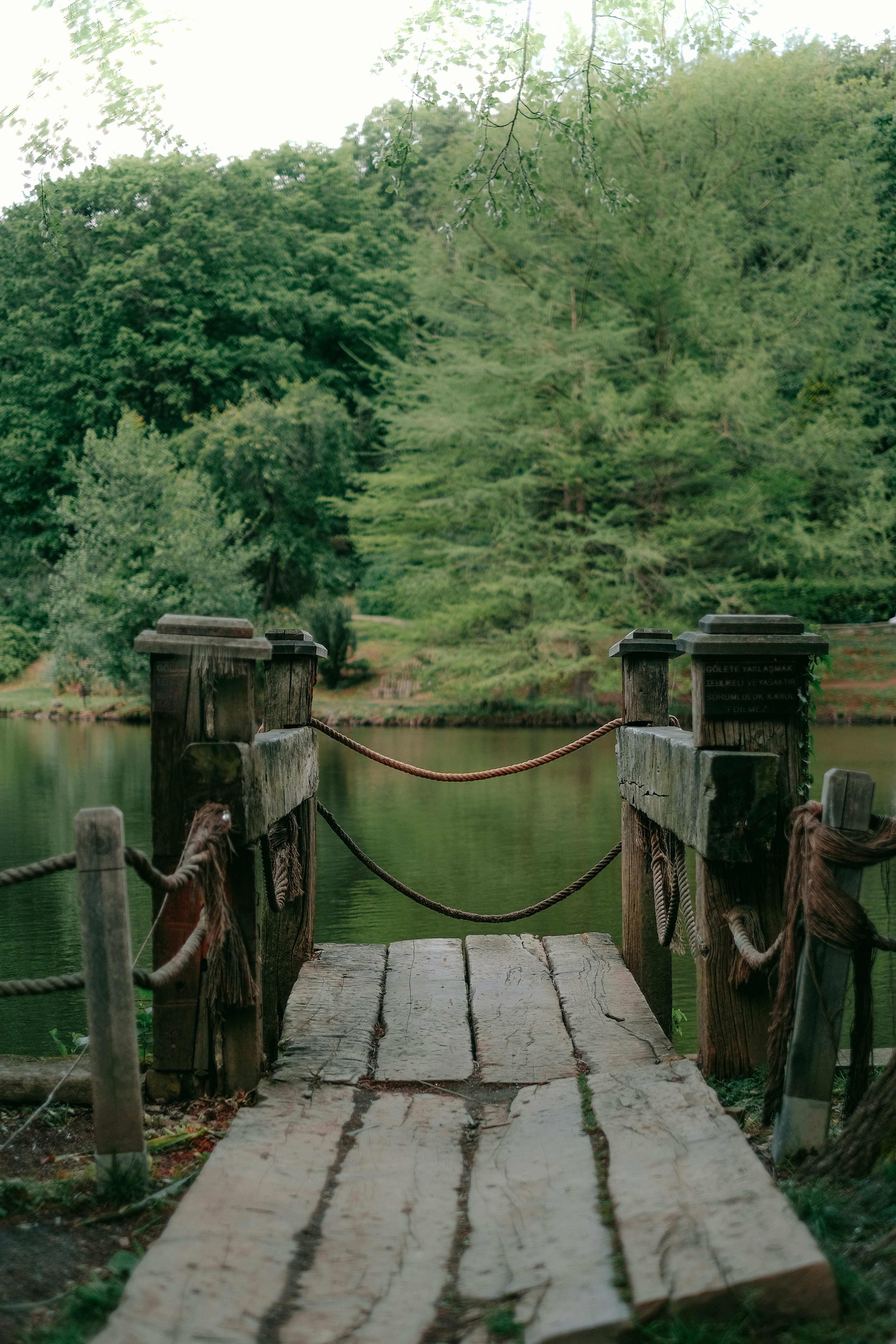 Photo by mutecevvil