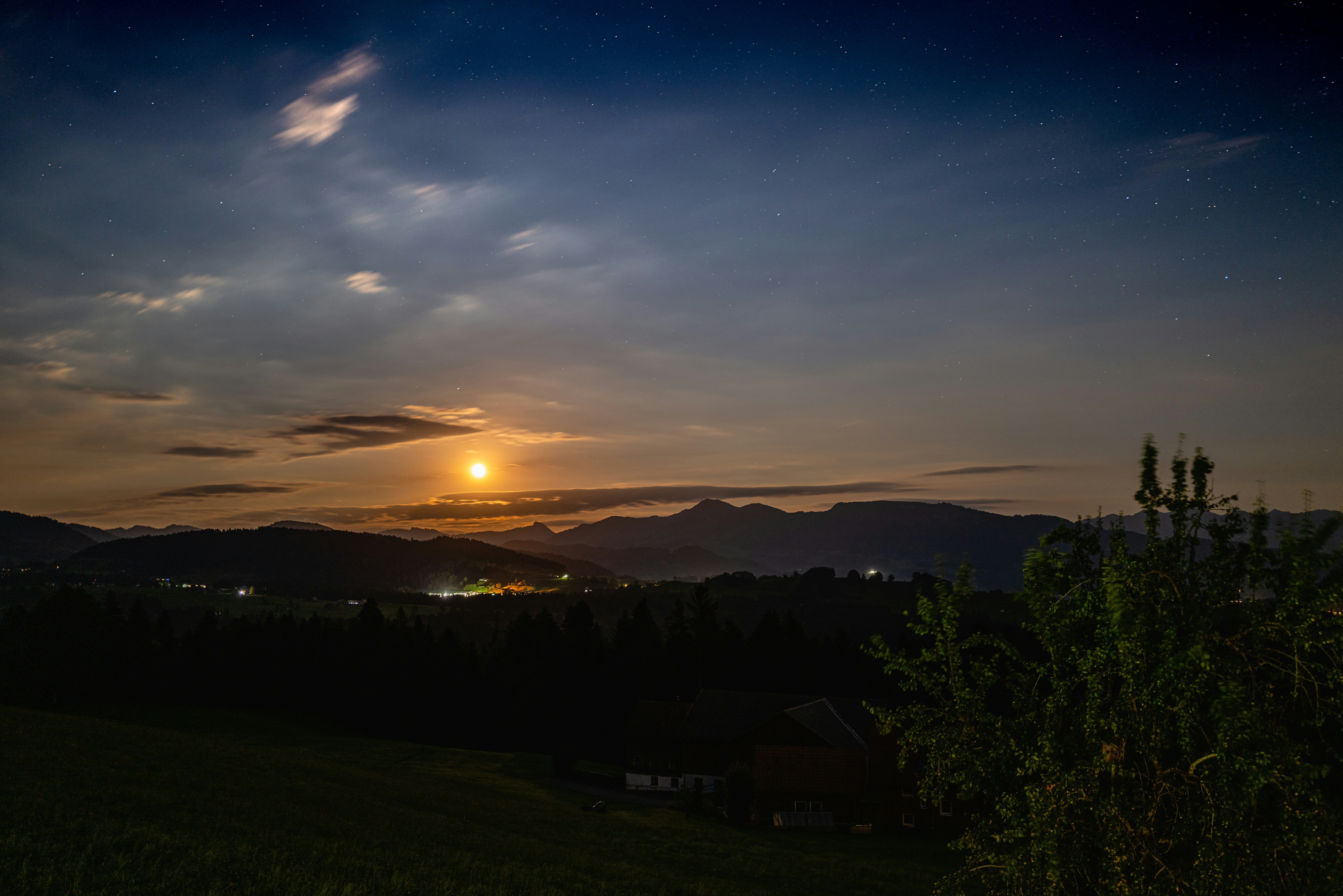Eine Landschaft mit Bäumen und Bergen im Hintergrund