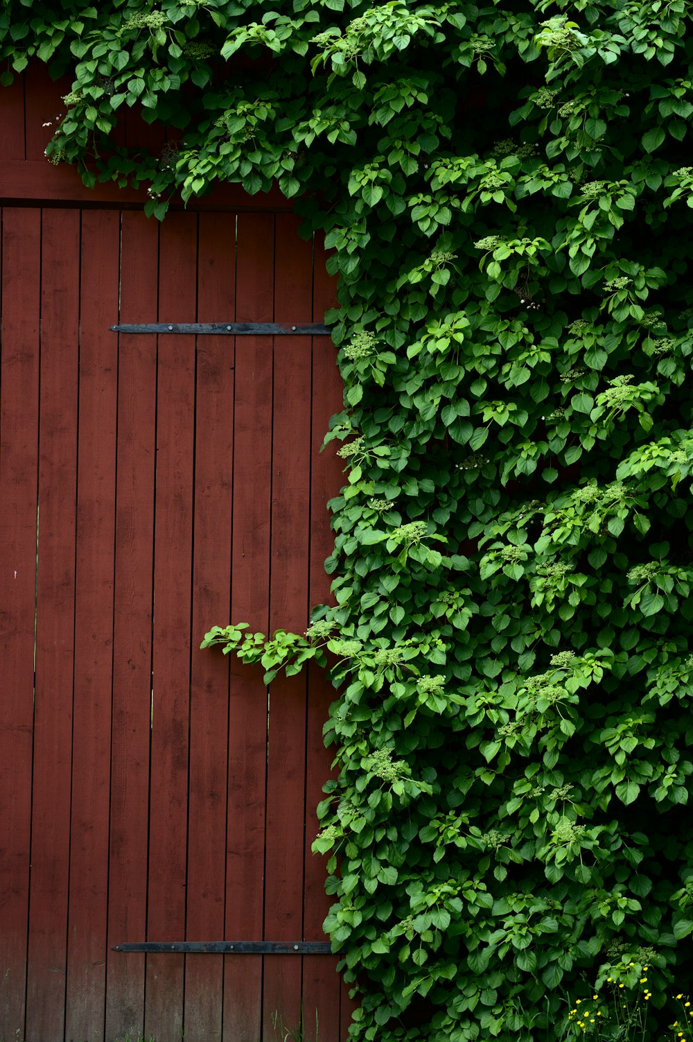 a wood fence with a metal gate