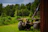 A smiling farmer standing next to his agriculture truck in a lush green field.