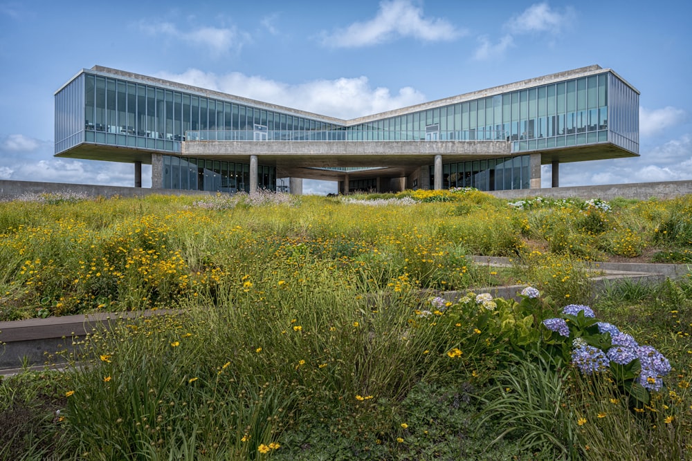 a building with a glass roof