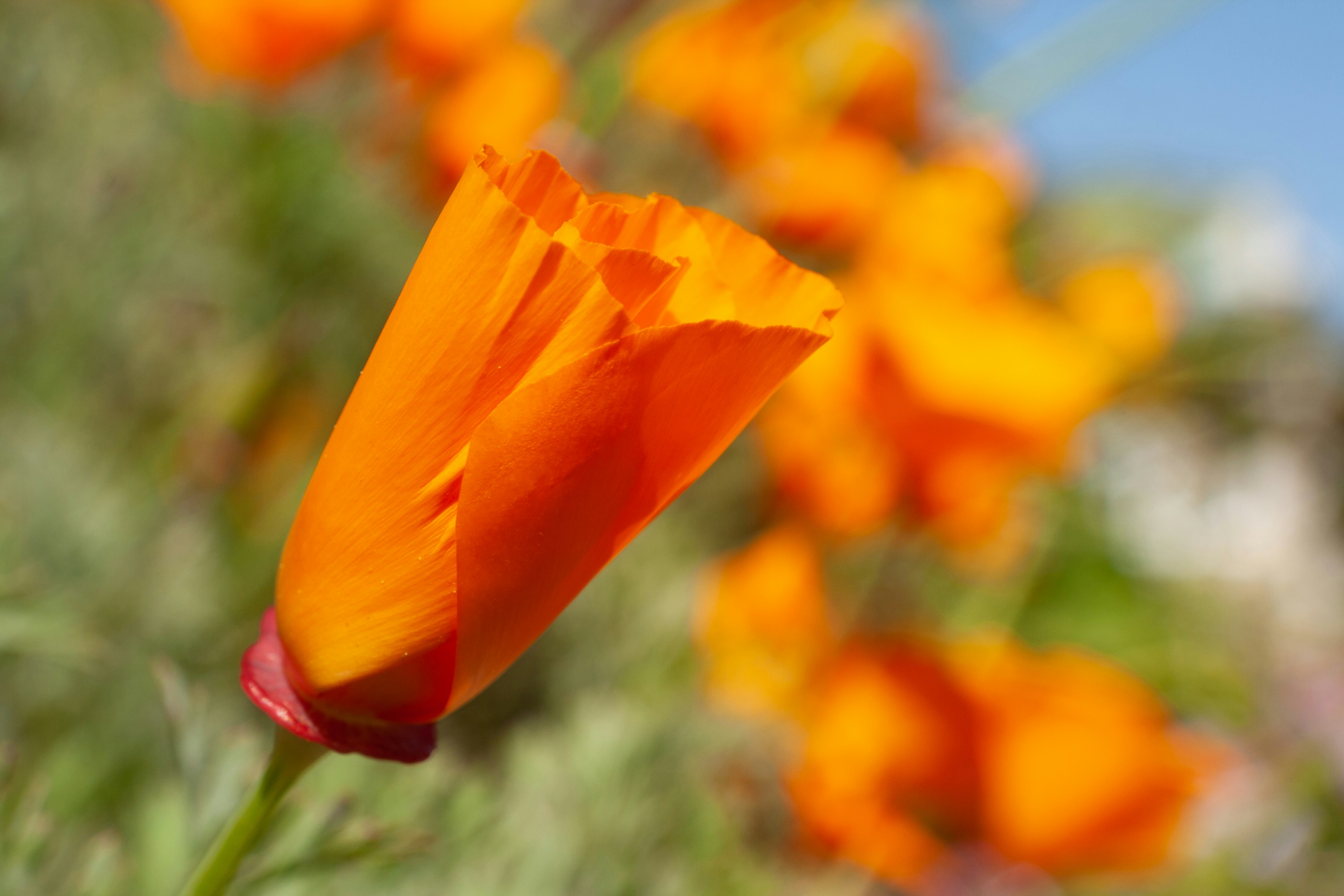 Photo by stephwubben