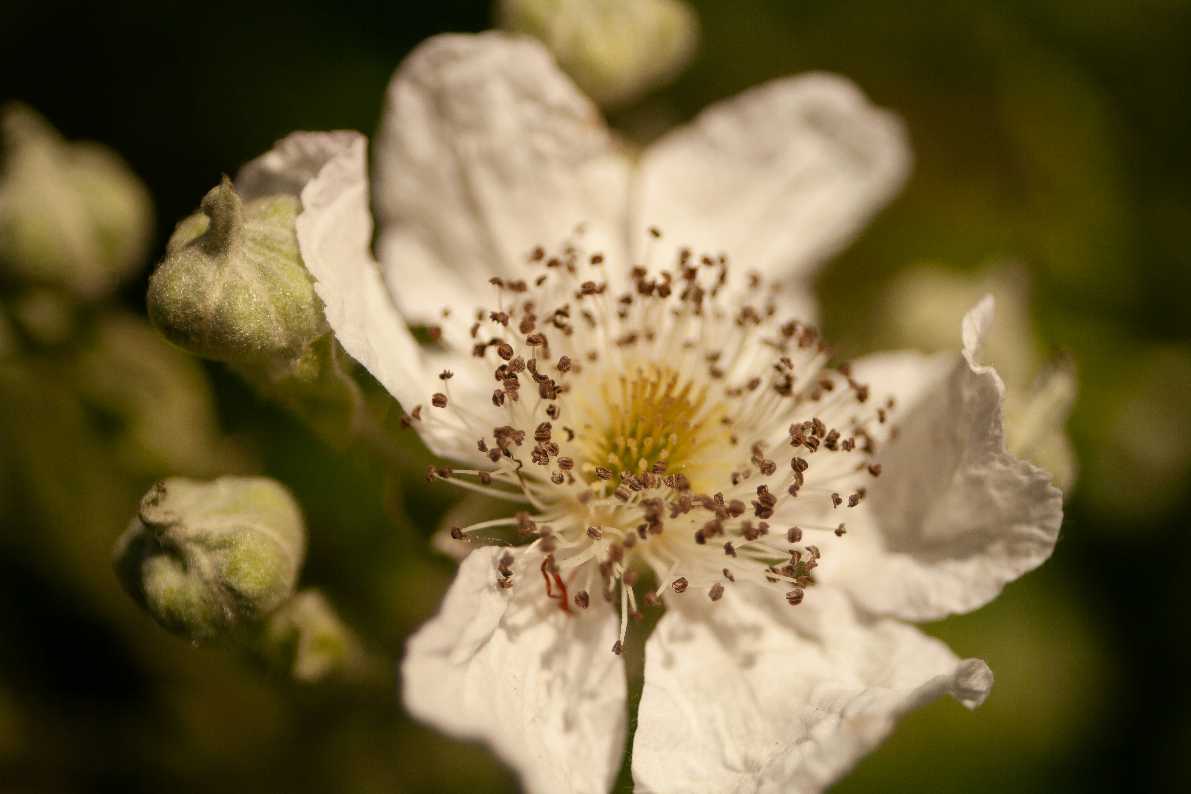 Photo by stephwubben