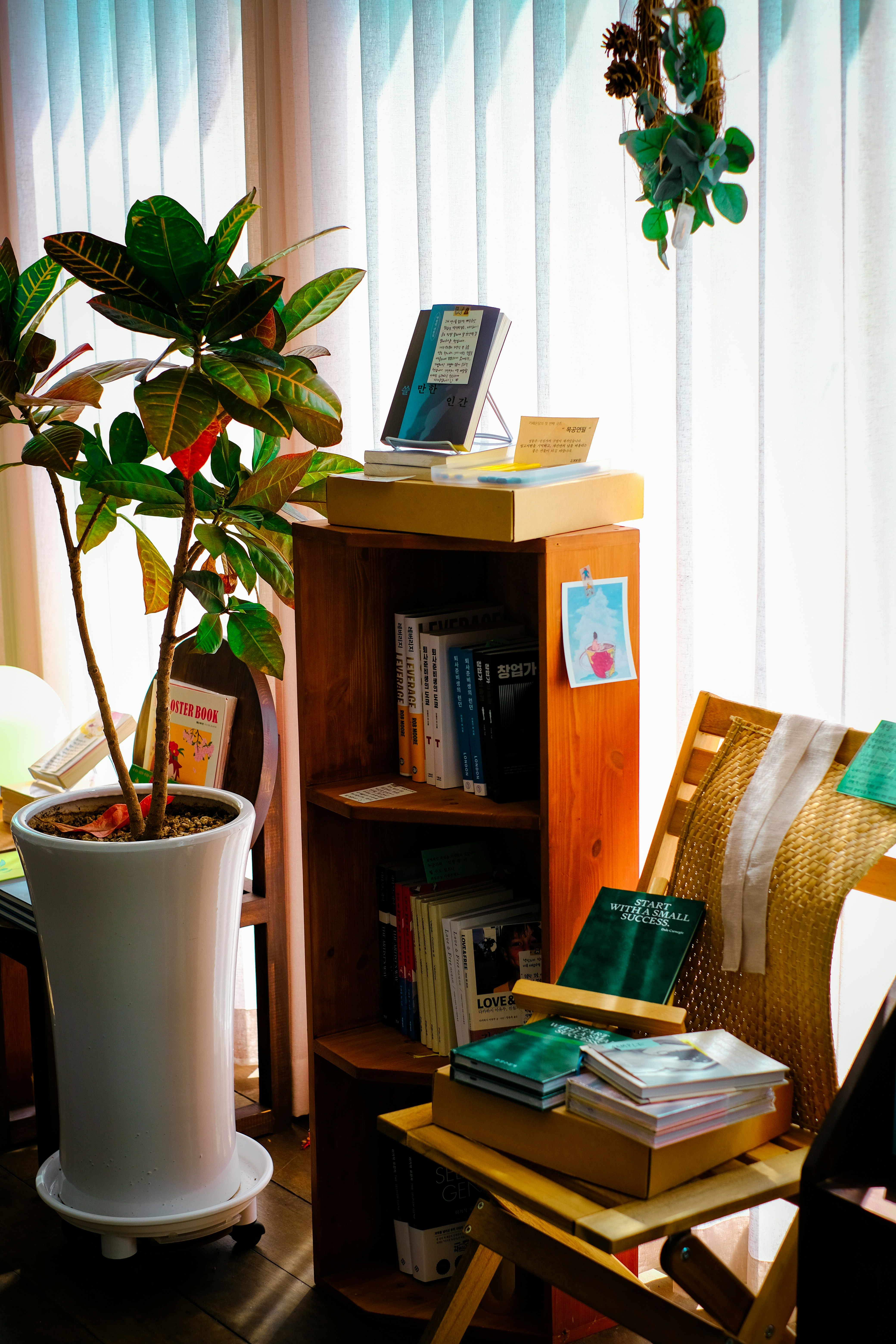 Photo by finn_staygold