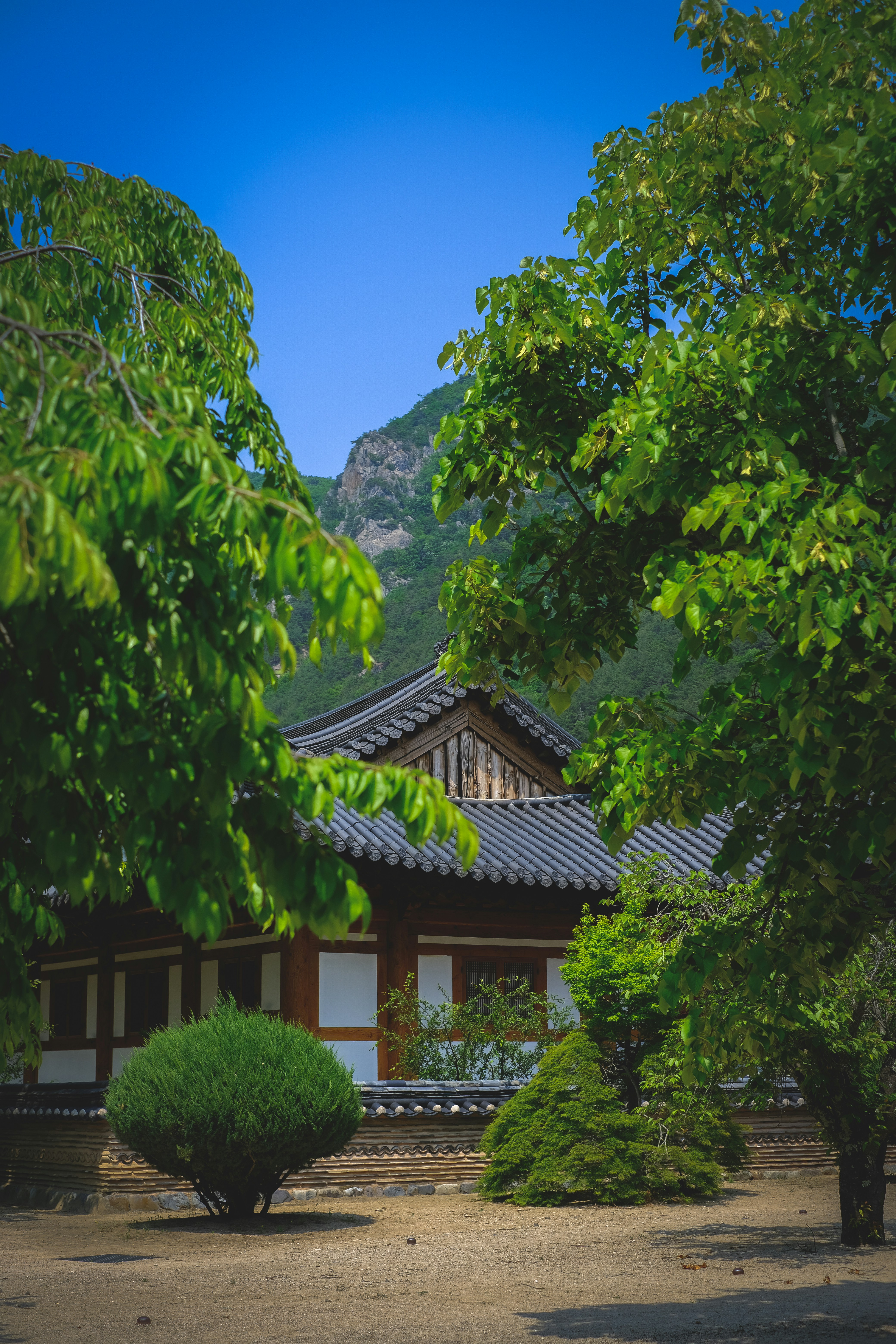 Photo by finn_staygold