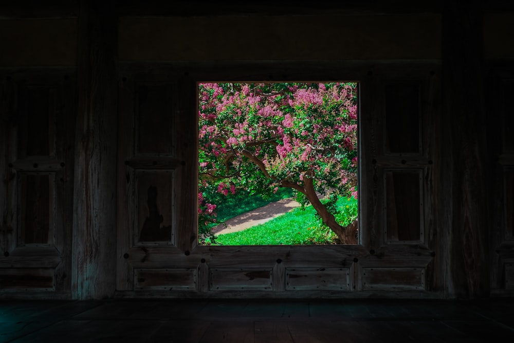 a tree with pink flowers in a window