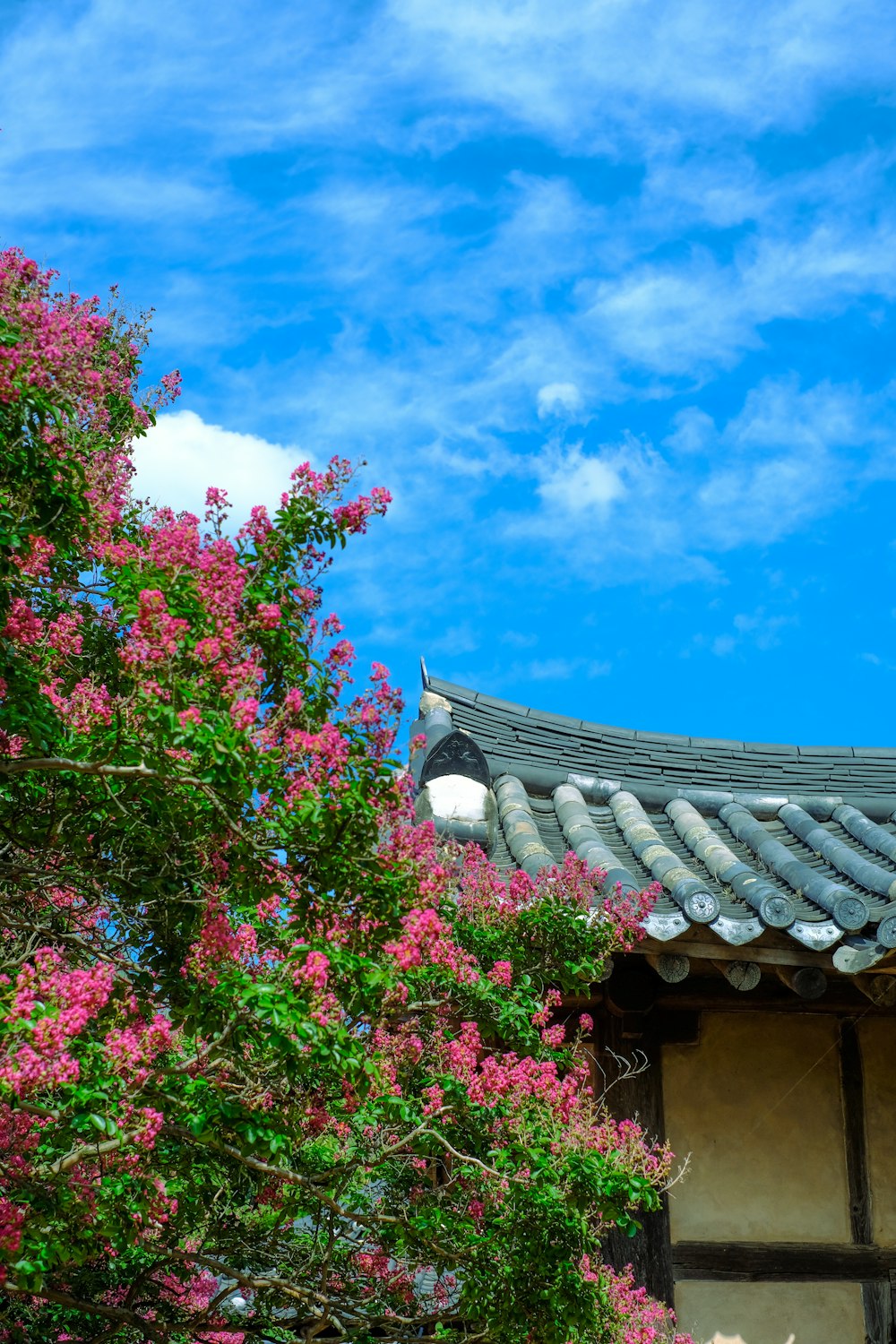 a building with a garden of flowers