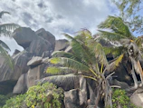 Granite boulders framing a quiet cove surrounded by palm trees.