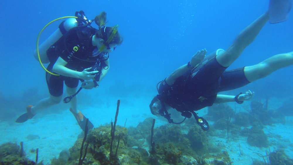 Un couple de plongeurs sous-marins sous l’eau