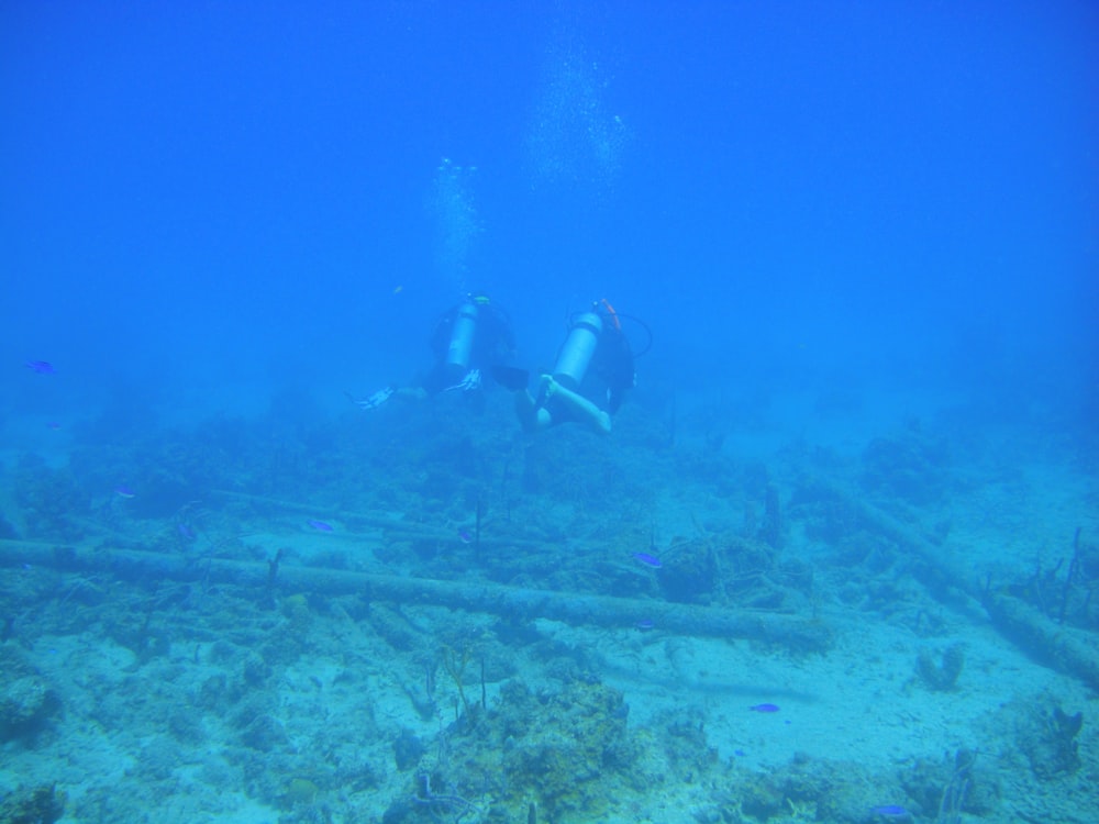 a person swimming underwater