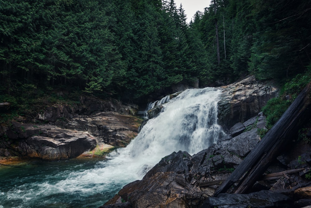 a waterfall in a forest