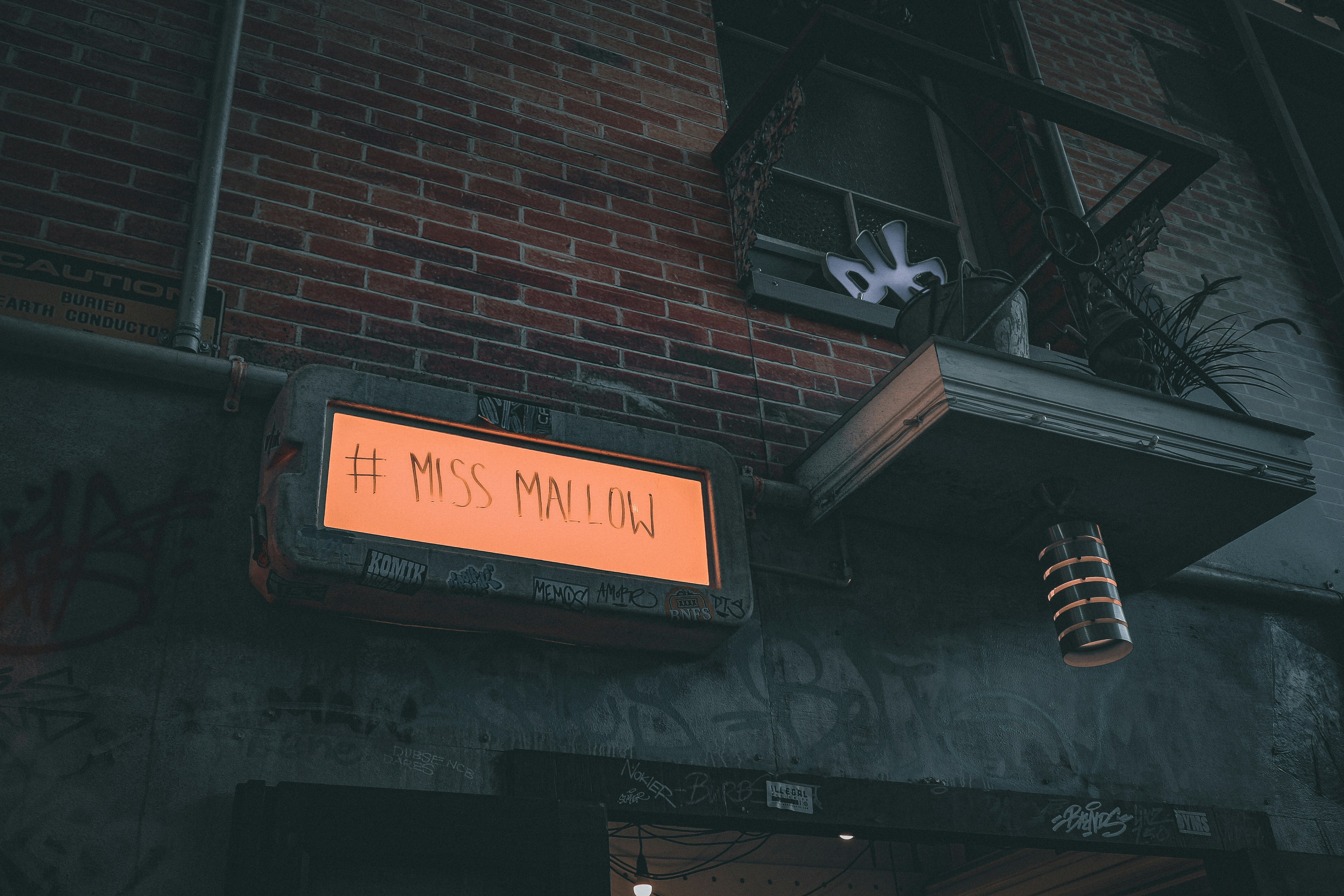 https://images.unsplash.com/photo-1657953672738-ecf6b81685da?ixid=M3w2MjYzNjJ8MHwxfHNlYXJjaHw5fHxKZXJzZXklMjBNaWtlJUUyJTgwJTk5c3xlbnwwfDB8fHwxNzU2OTc4NDU0fDA&ixlib=rb-4.1.0