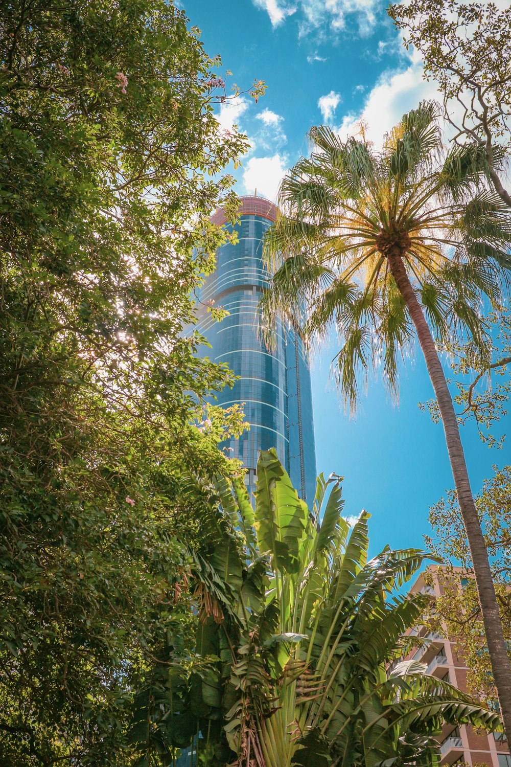 a tall building behind trees