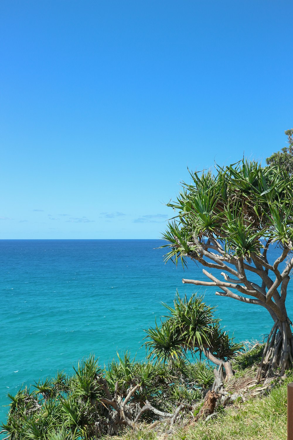 a tropical beach with blue water