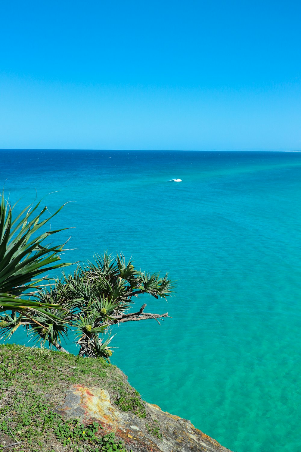 a tropical beach with a boat