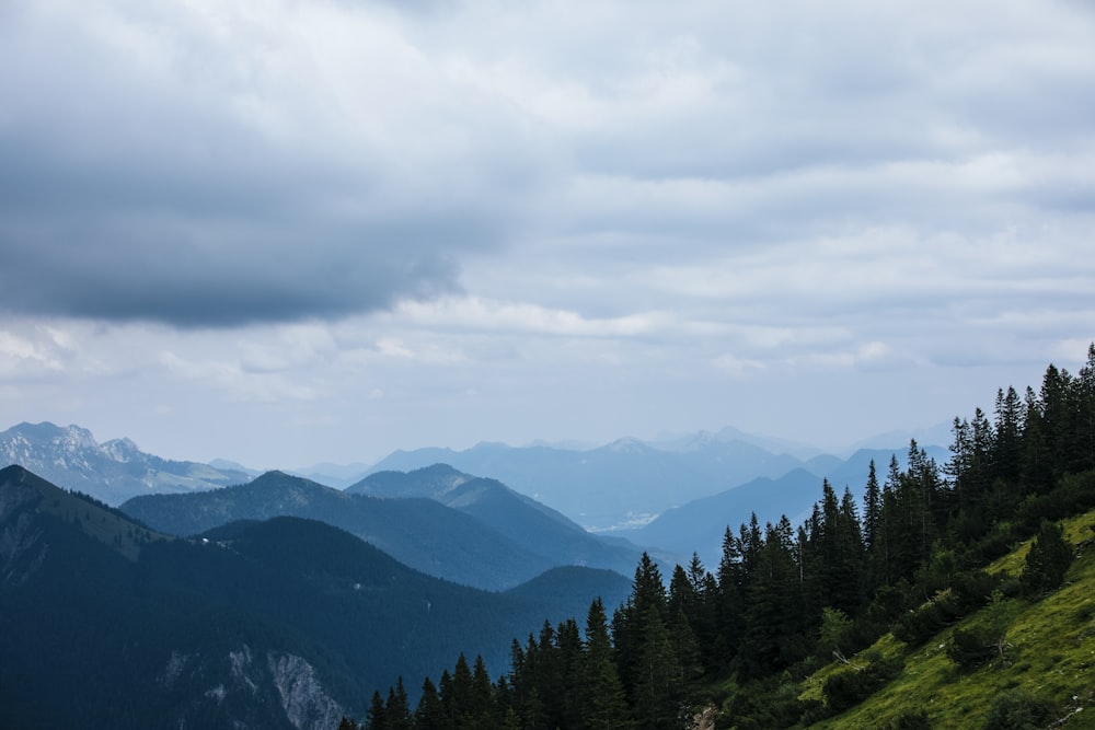 Un paisaje con árboles y montañas