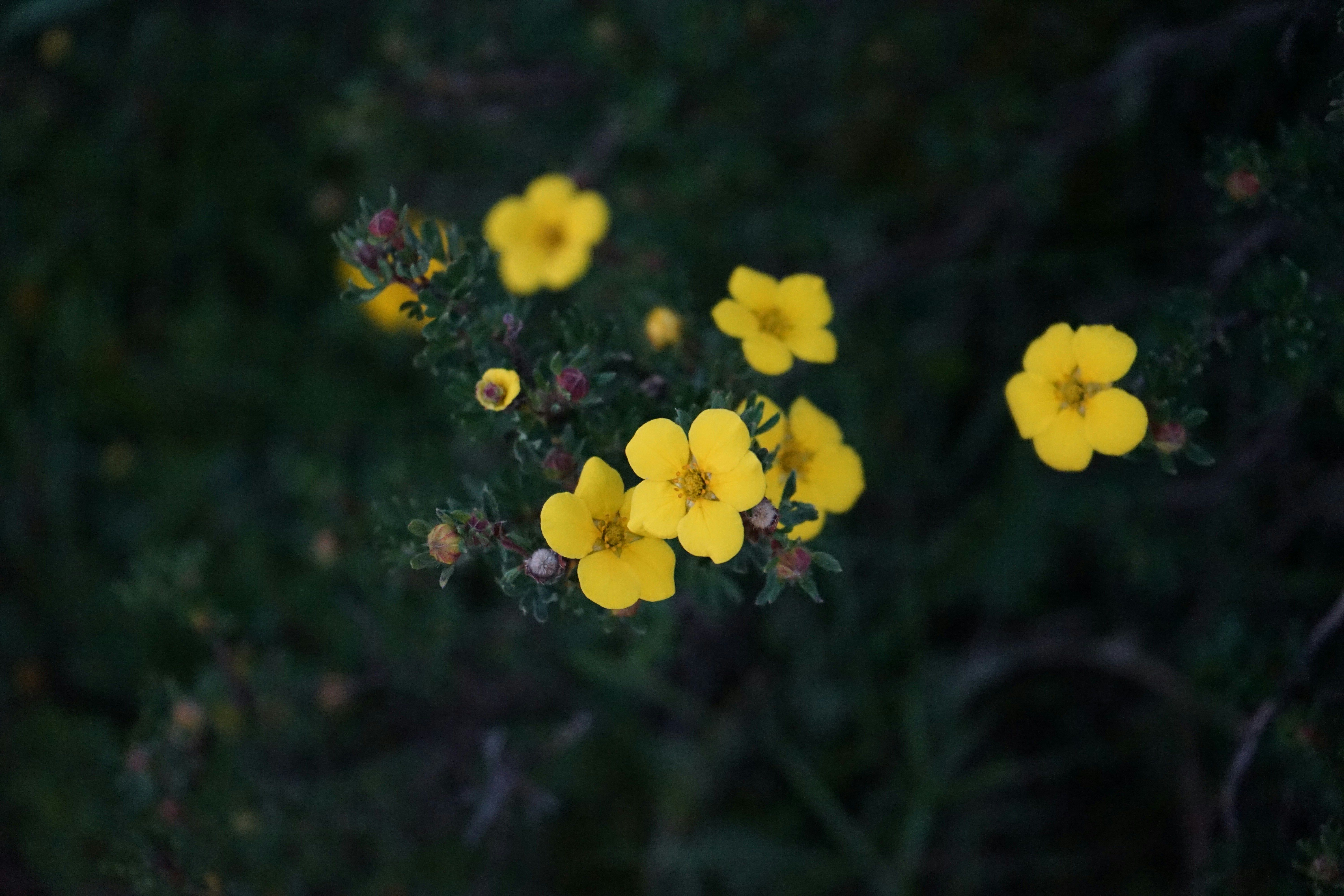 Photo by judahwester