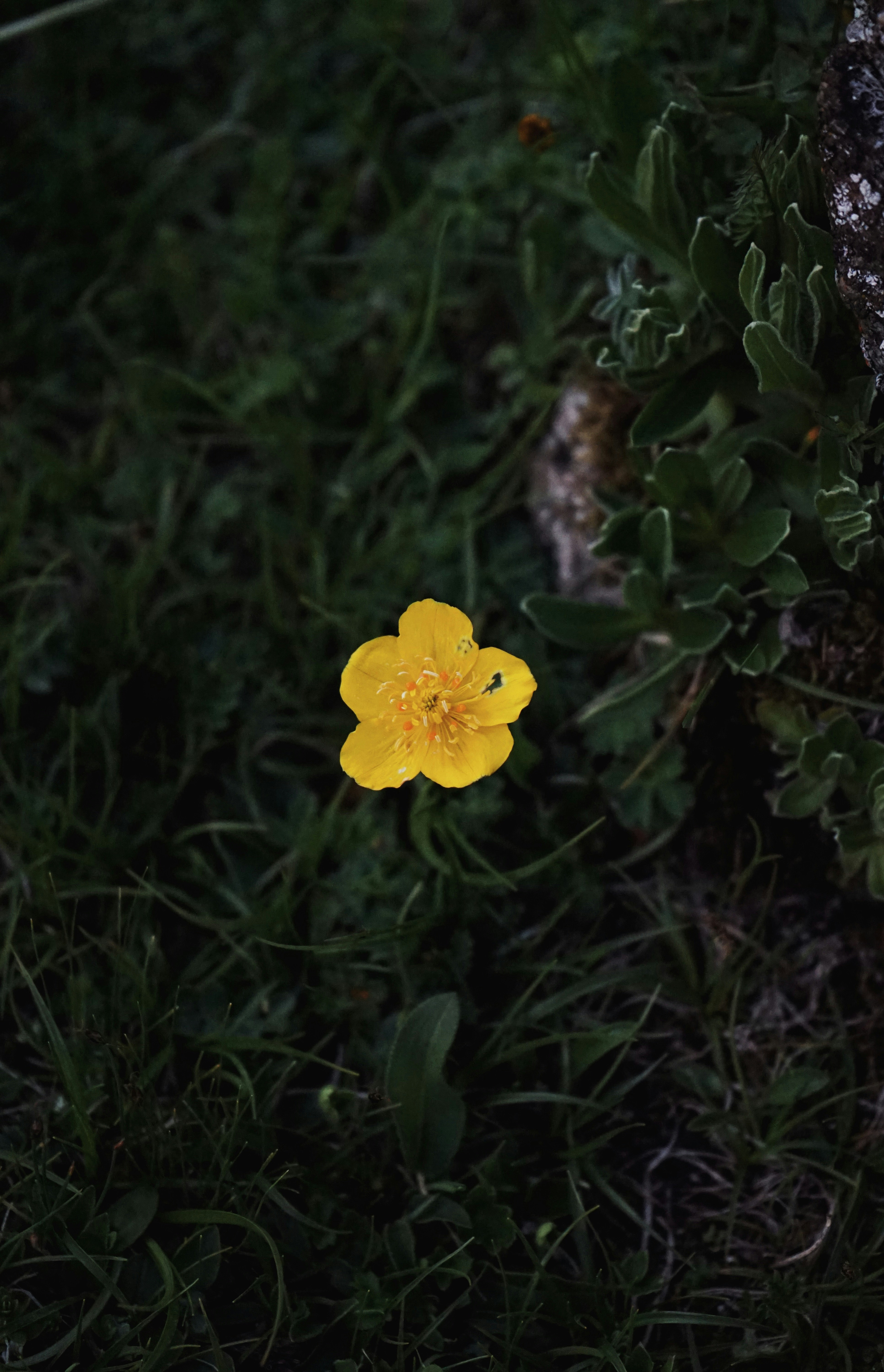 Photo by judahwester