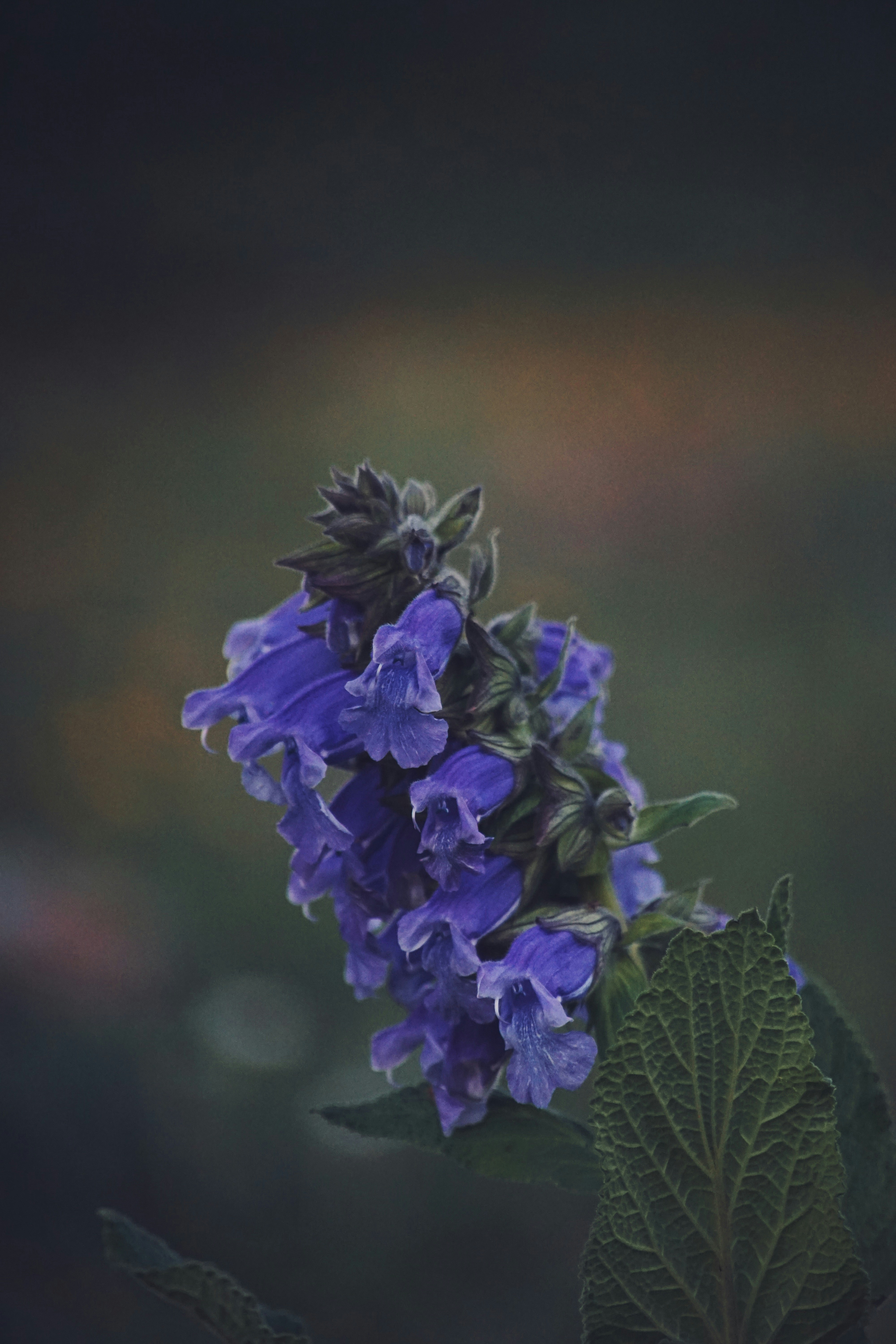 Photo by judahwester