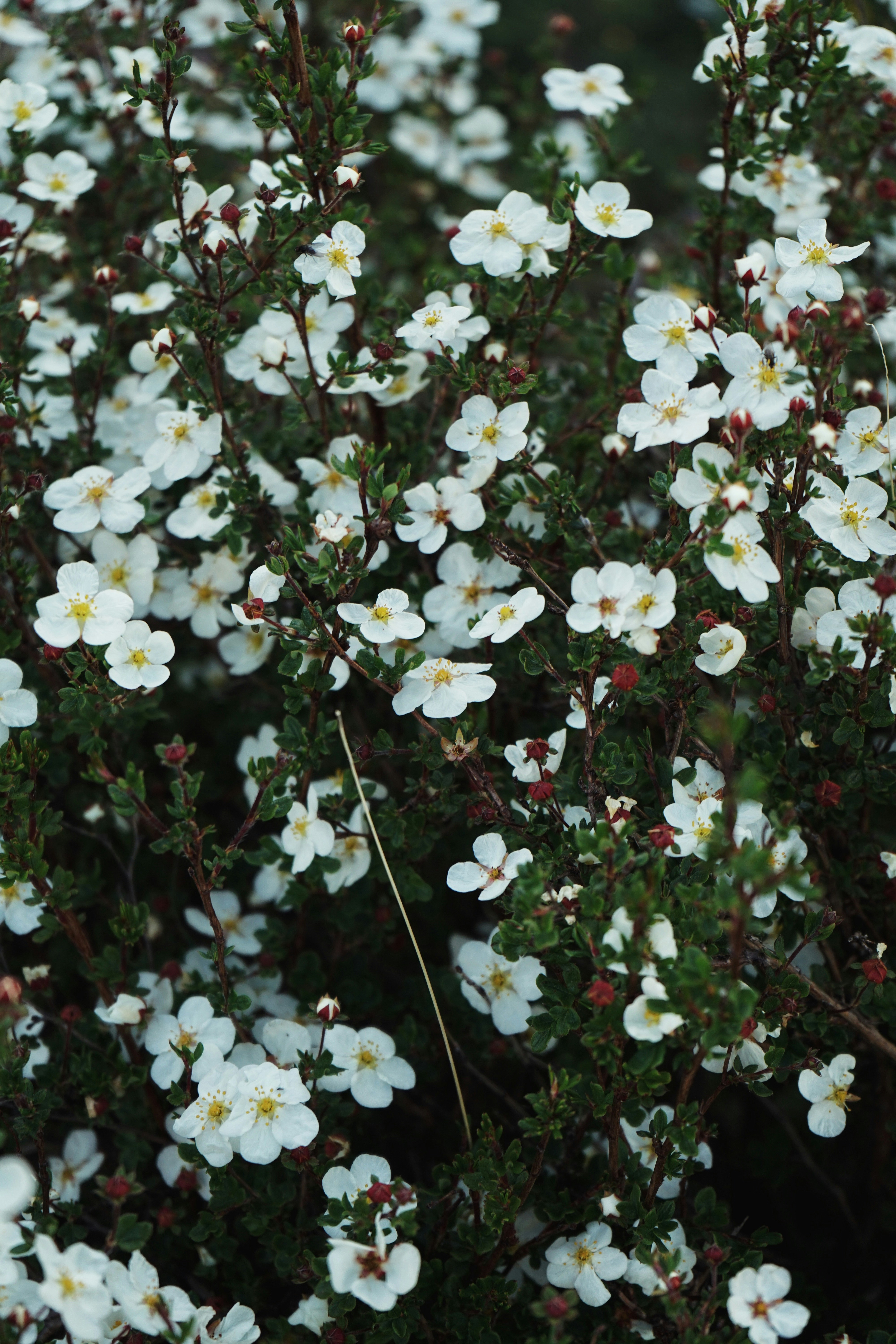 Photo by judahwester