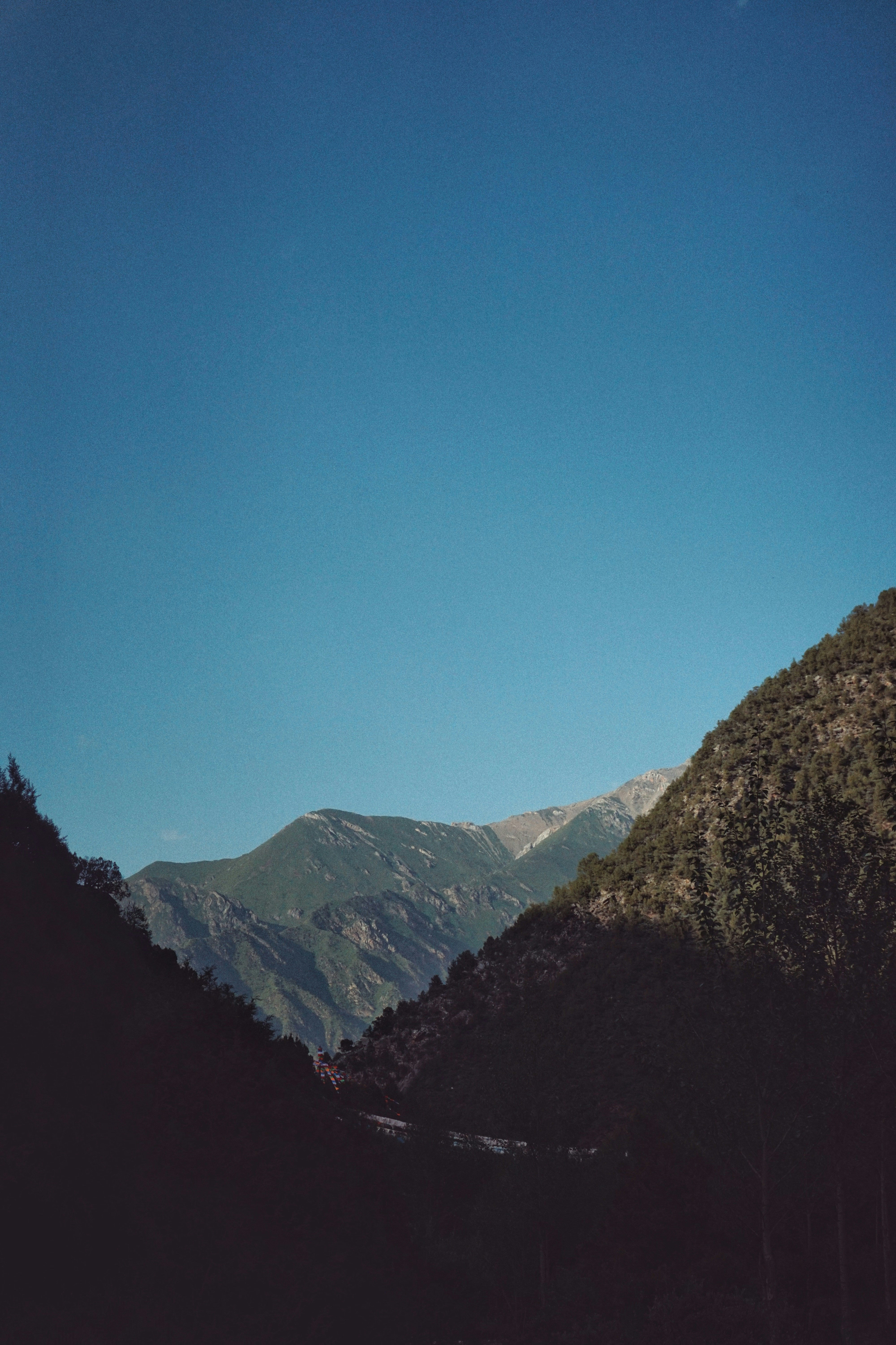 Photo by judahwester