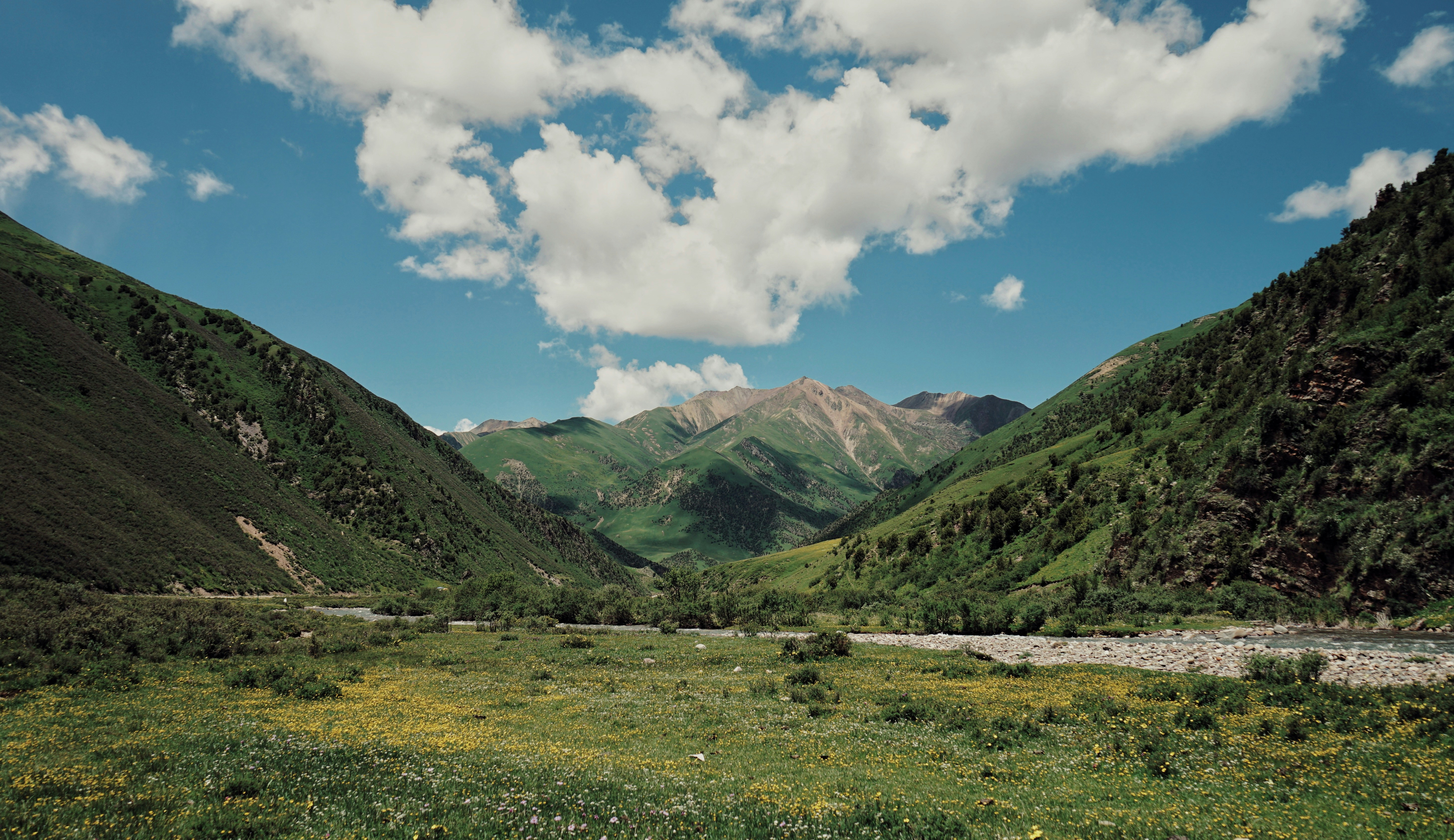 Photo by judahwester