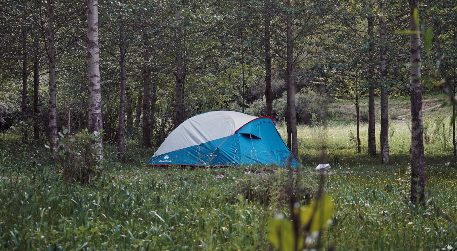 A real camping tent set up among trees in a quiet forest