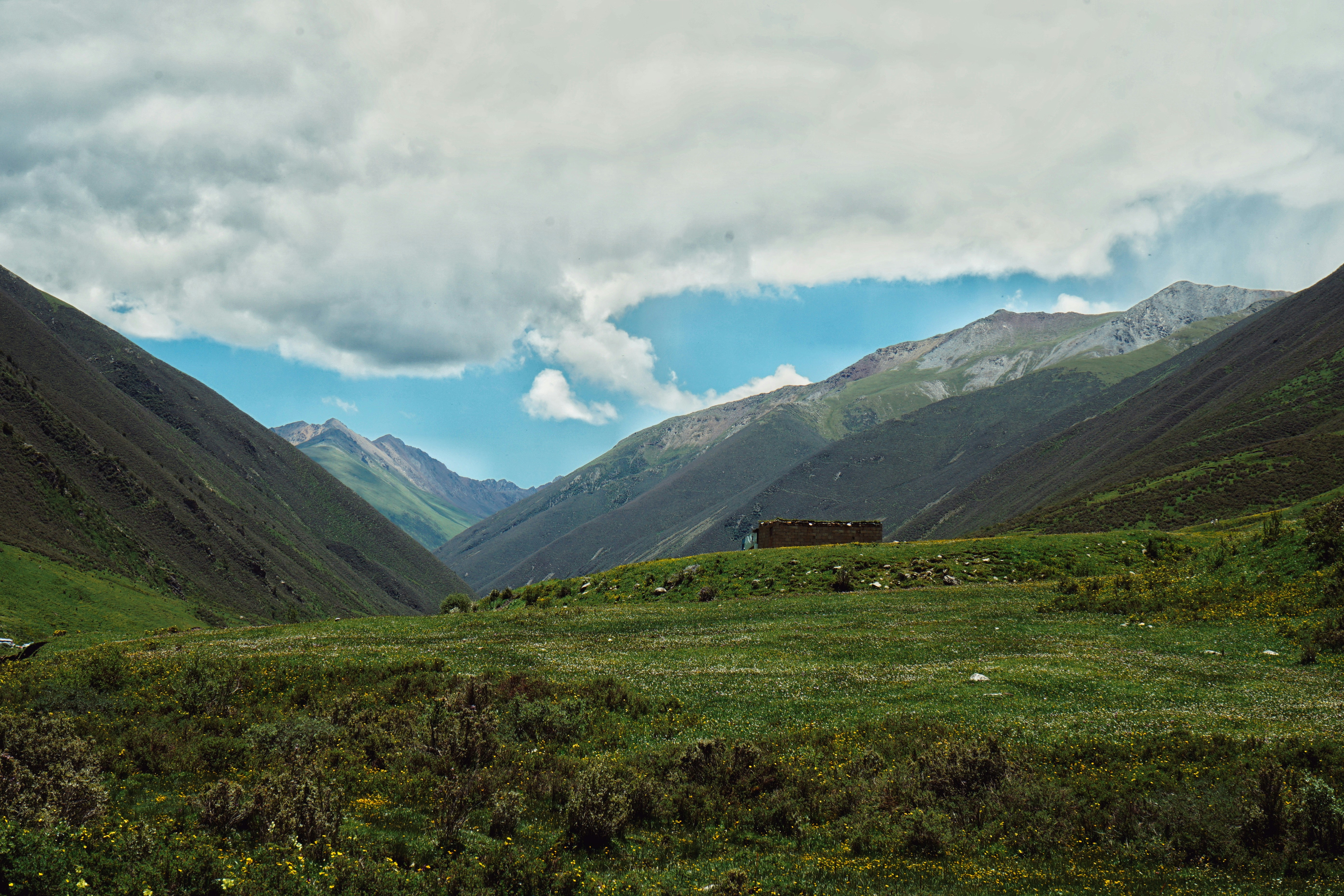 Photo by judahwester