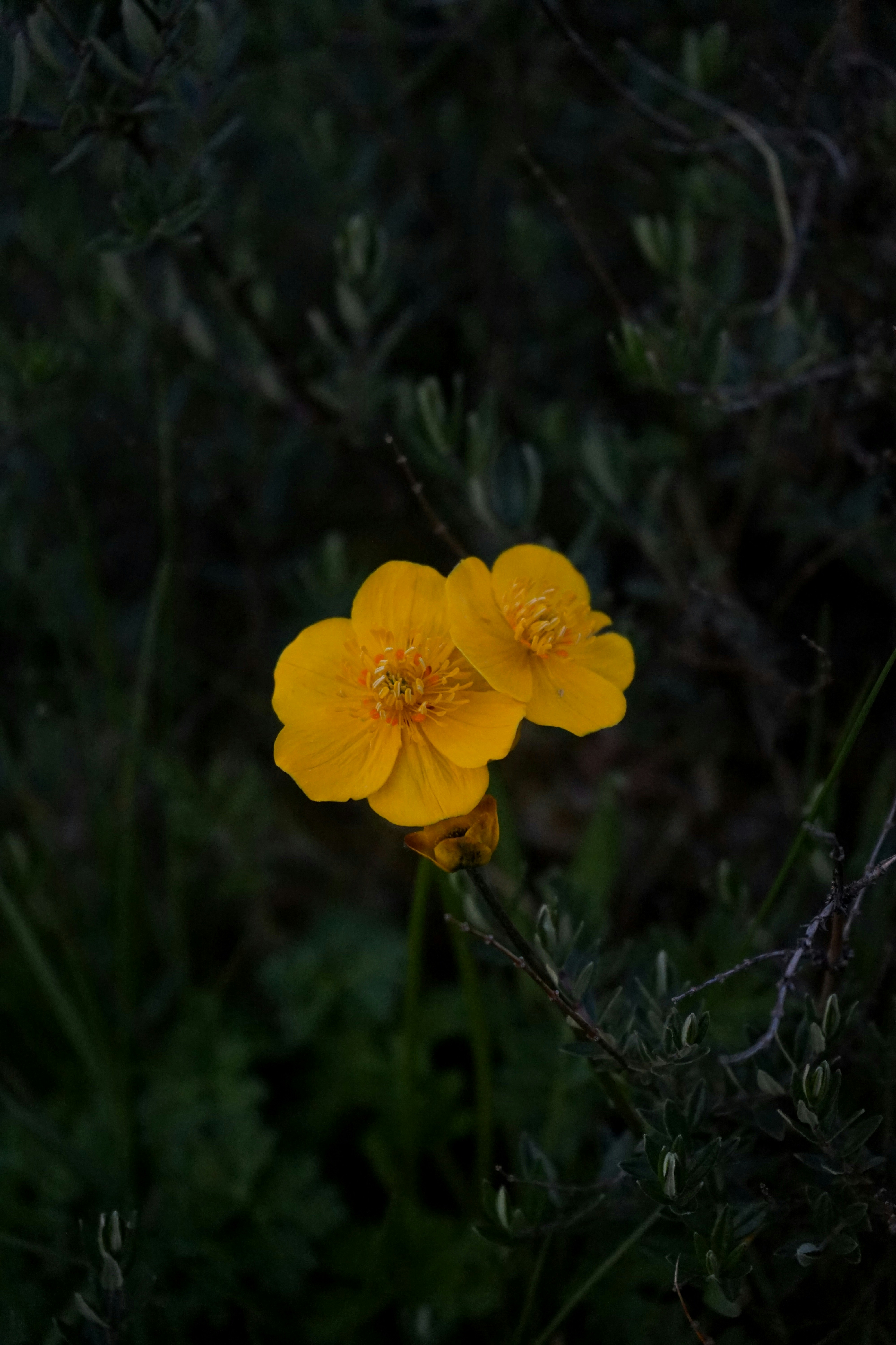 Photo by judahwester