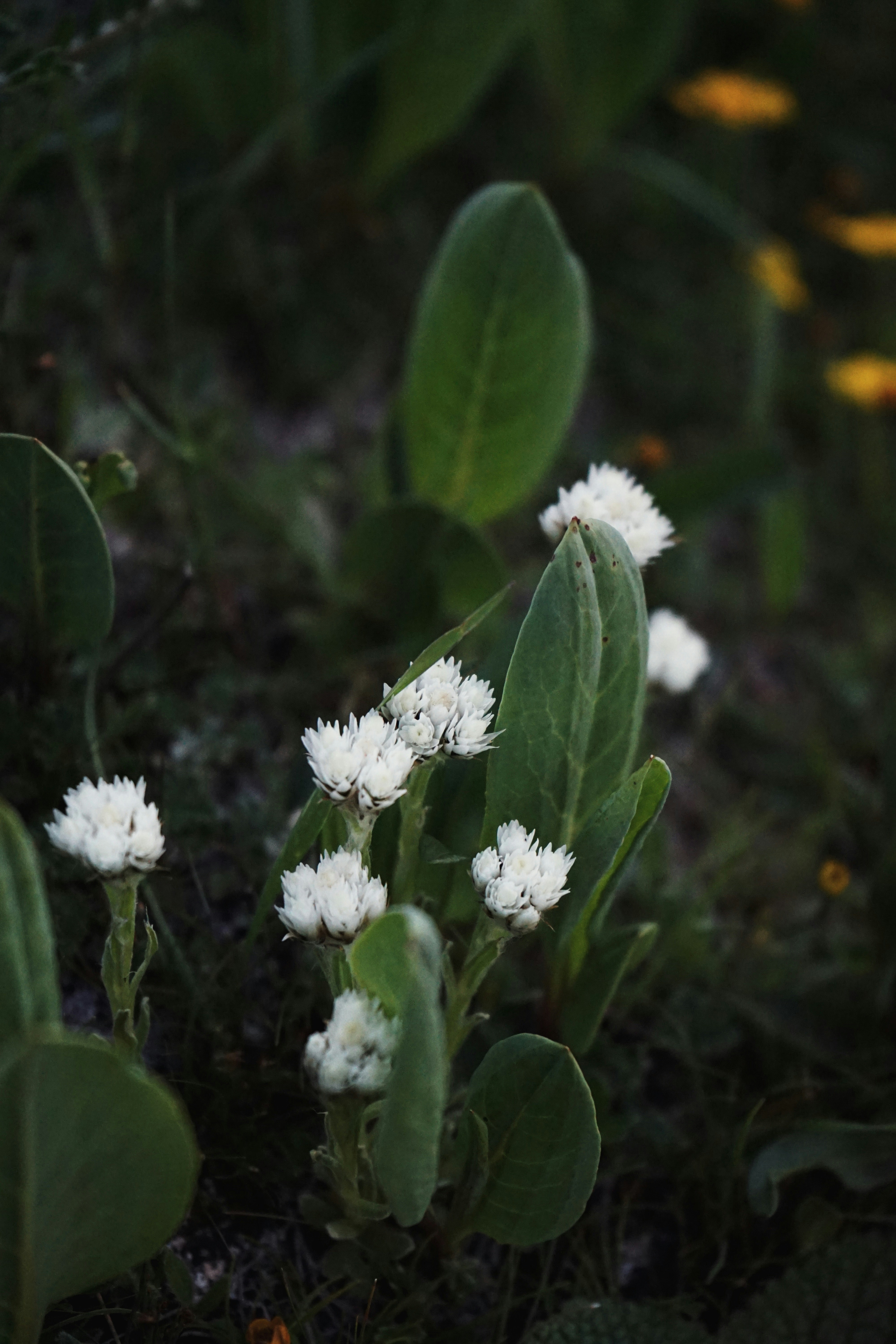 Photo by judahwester