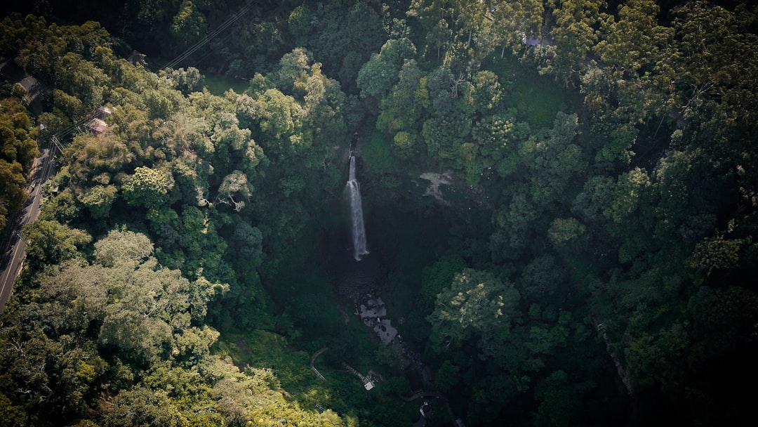 Forest photo spot Cimahi West Java