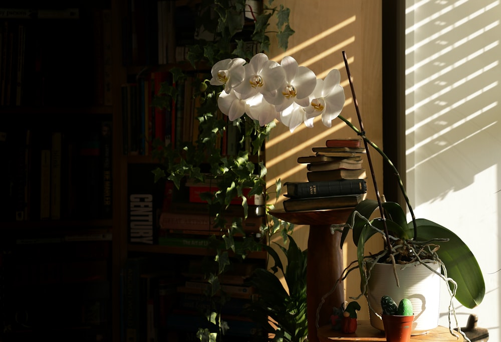 a vase of flowers on a table next to a window