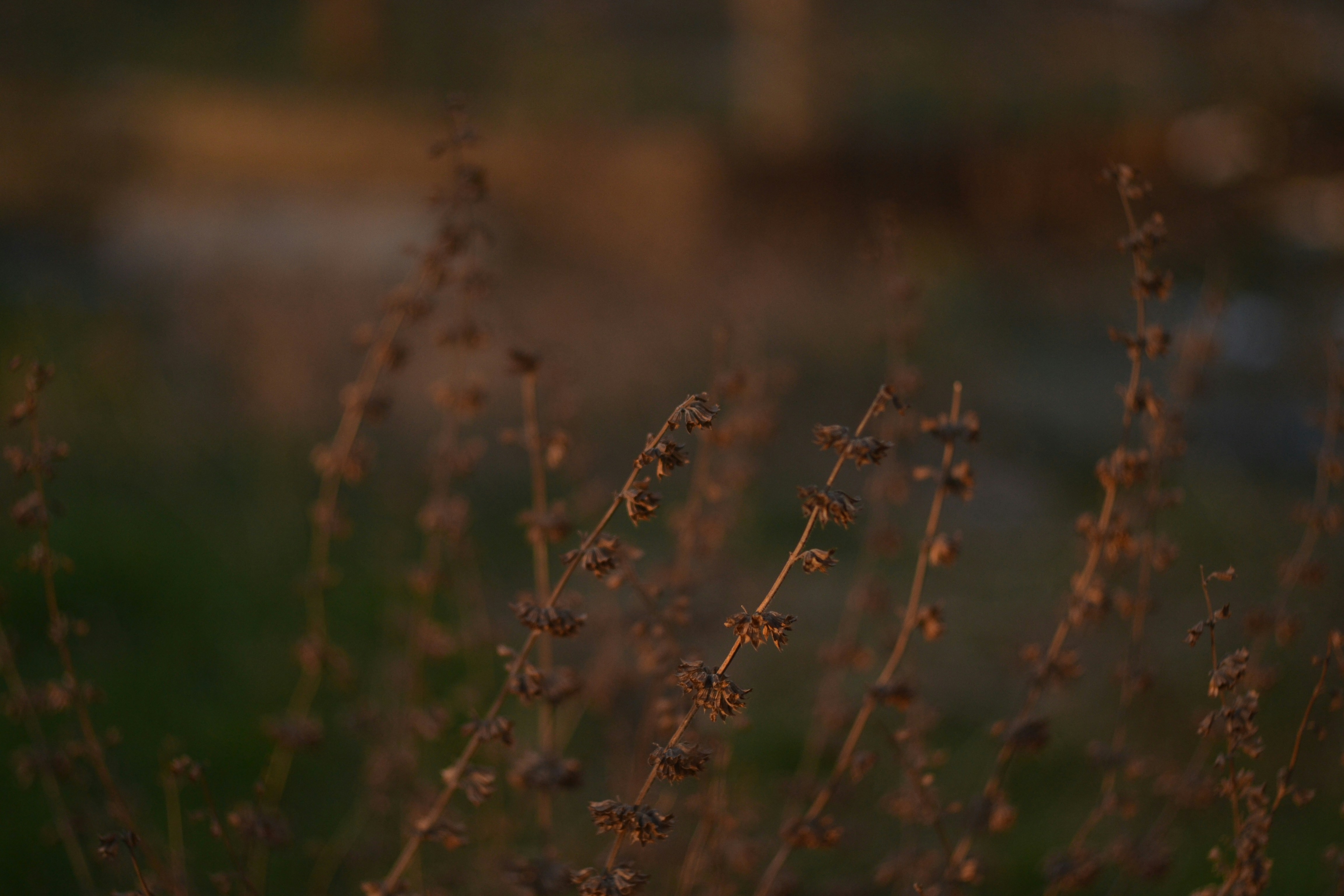 Photo by constanspero