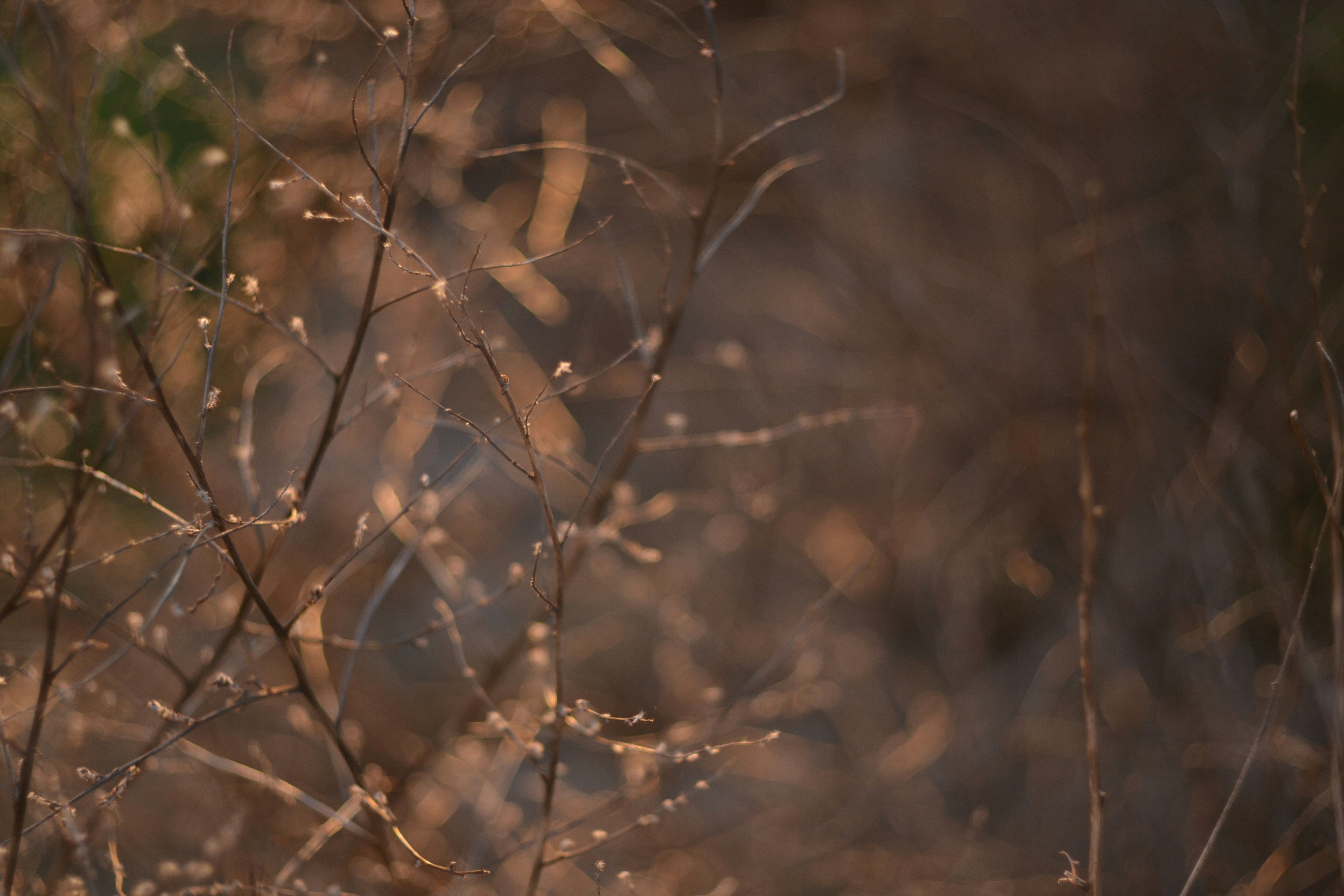 Photo by constanspero