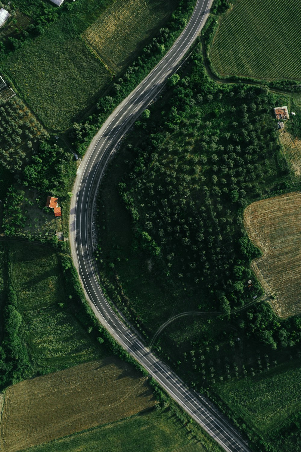 a road with trees on the side