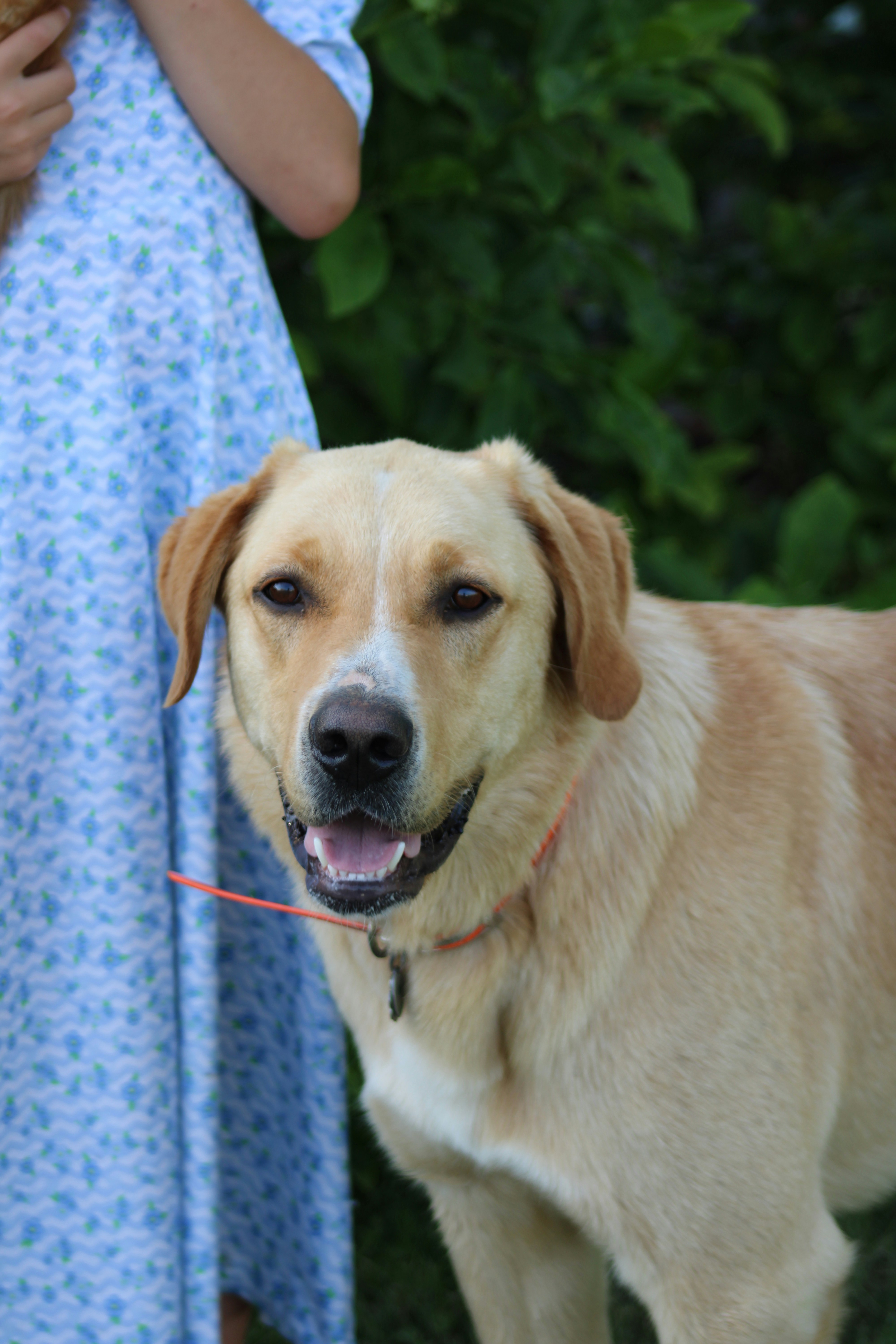 Photo by marie_martin1