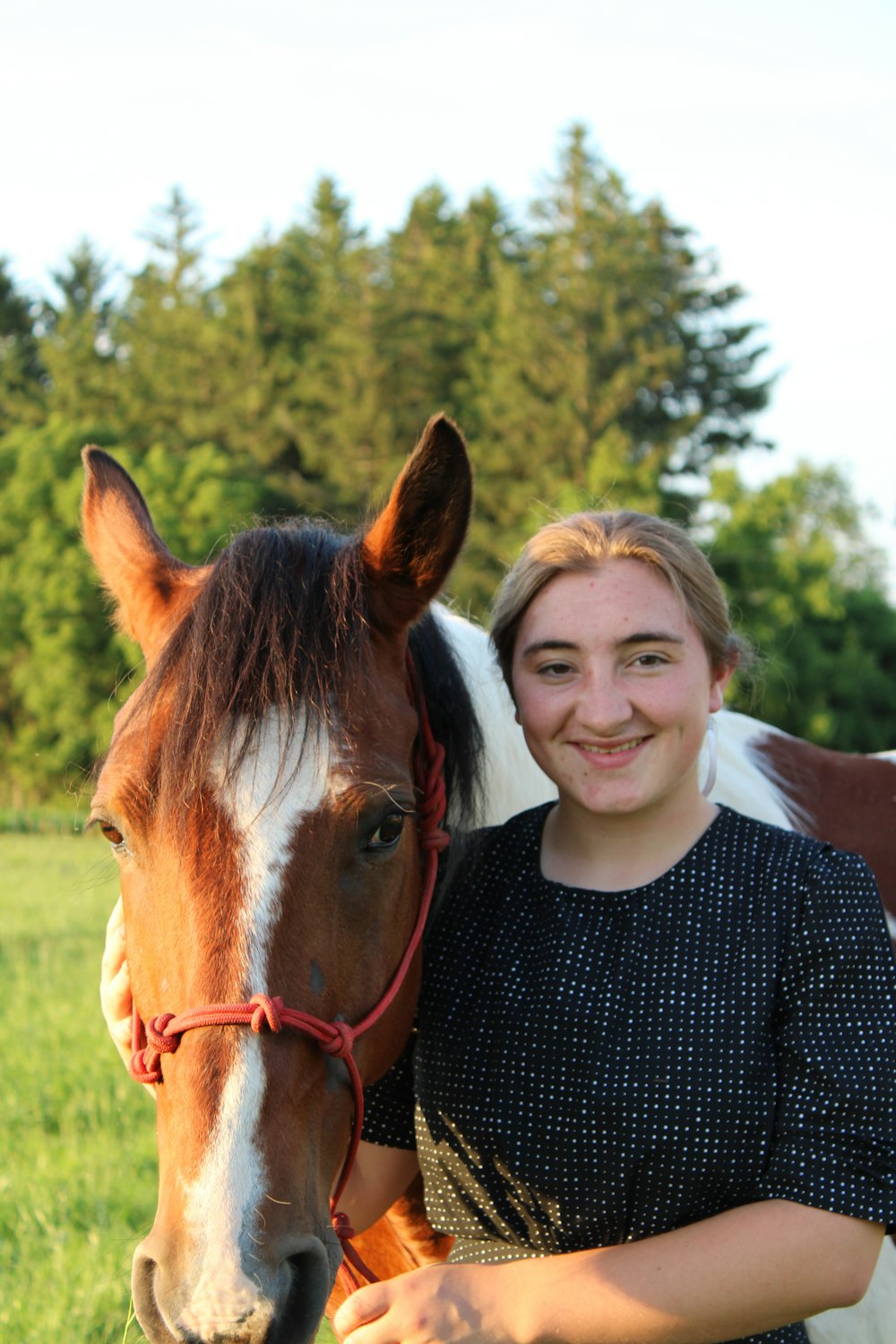 a person sitting on a horse