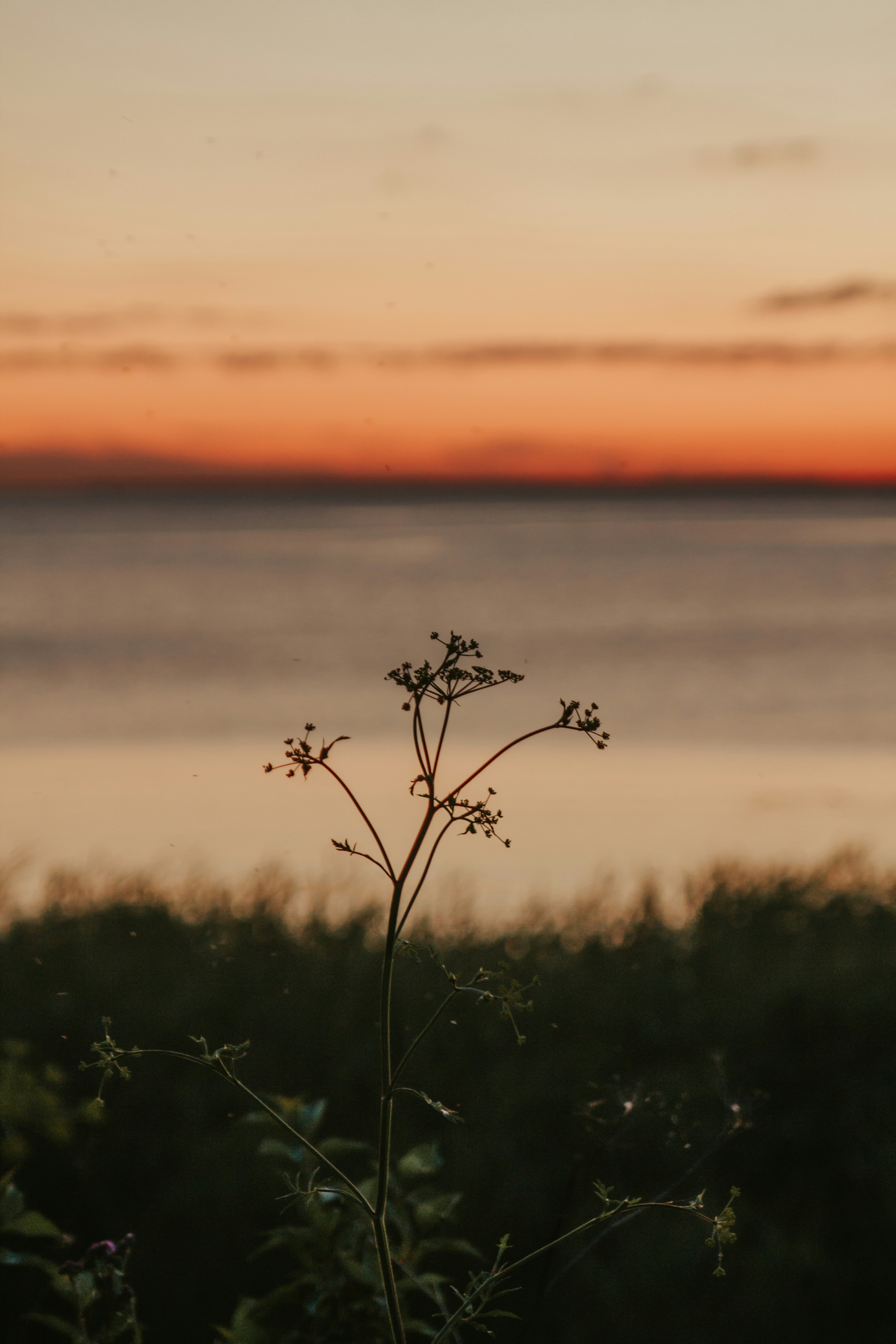 Photo by sam_badmaeva