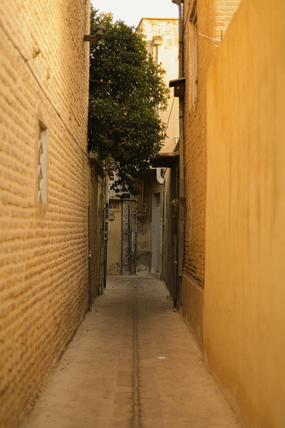 a narrow alley between two buildings