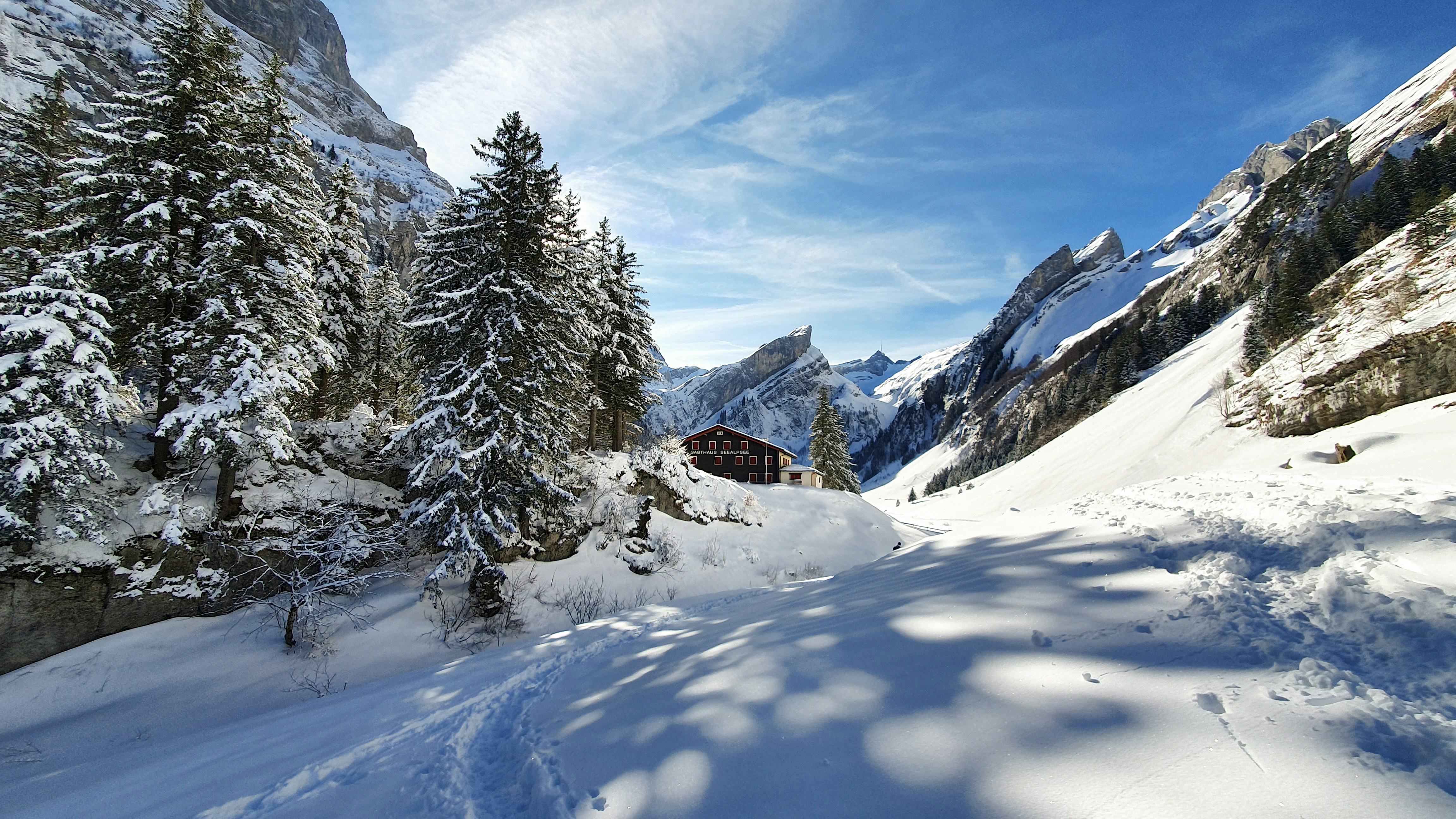 Photo by sabedin2000